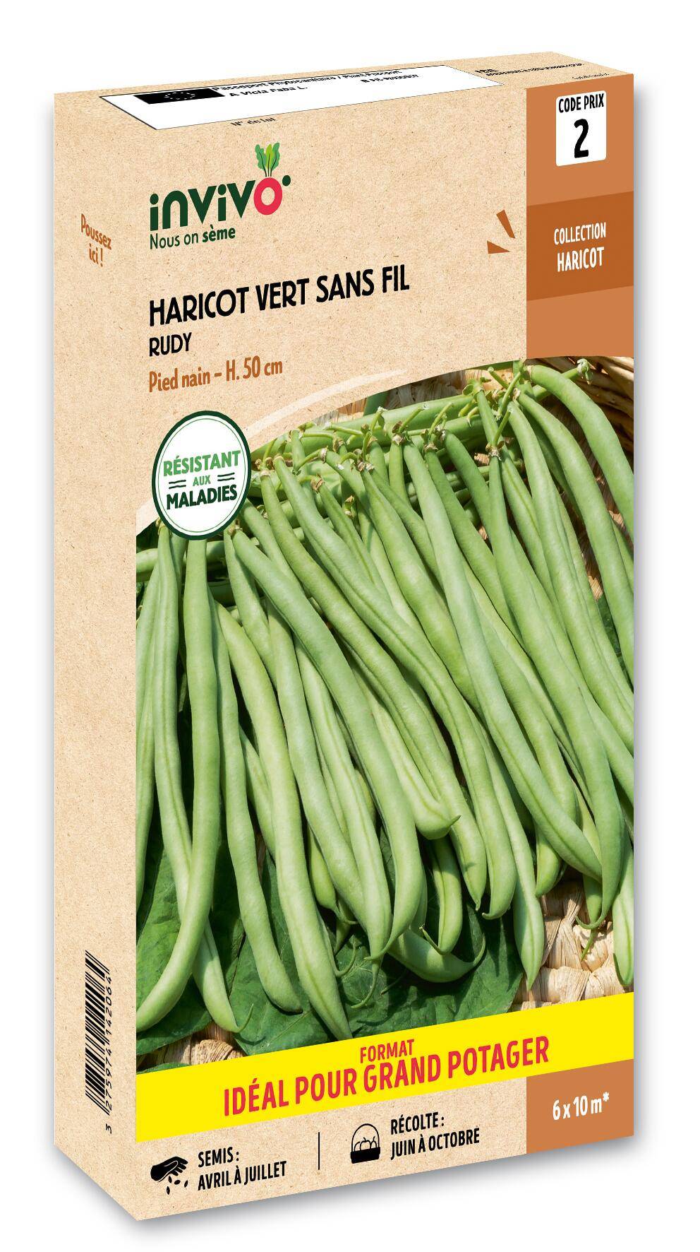 Invivo Nous On Sème - Haricot Nain Vert à Filet Sans Fil Rudy en boîte de 500g - Série 2 - INVIVO Nous on sème - Image 1