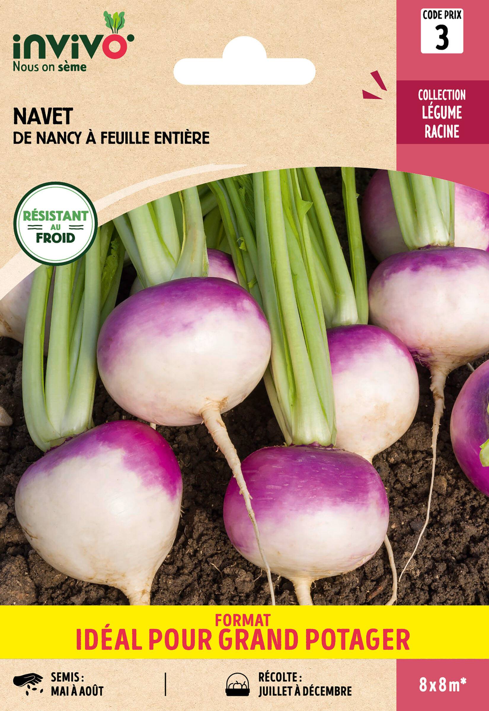 Invivo Nous On Sème - Navet-Légume de Nancy à Feuille Entière sachet de 13g grand modèle - Série 3 - INVIVO Nous on sème - Image 1