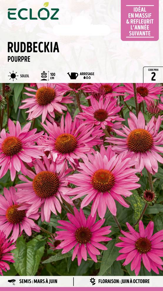 Ecloz - Rudbeckia Pourpre graines sachet 0,5 g - ECLOZ - Image 1