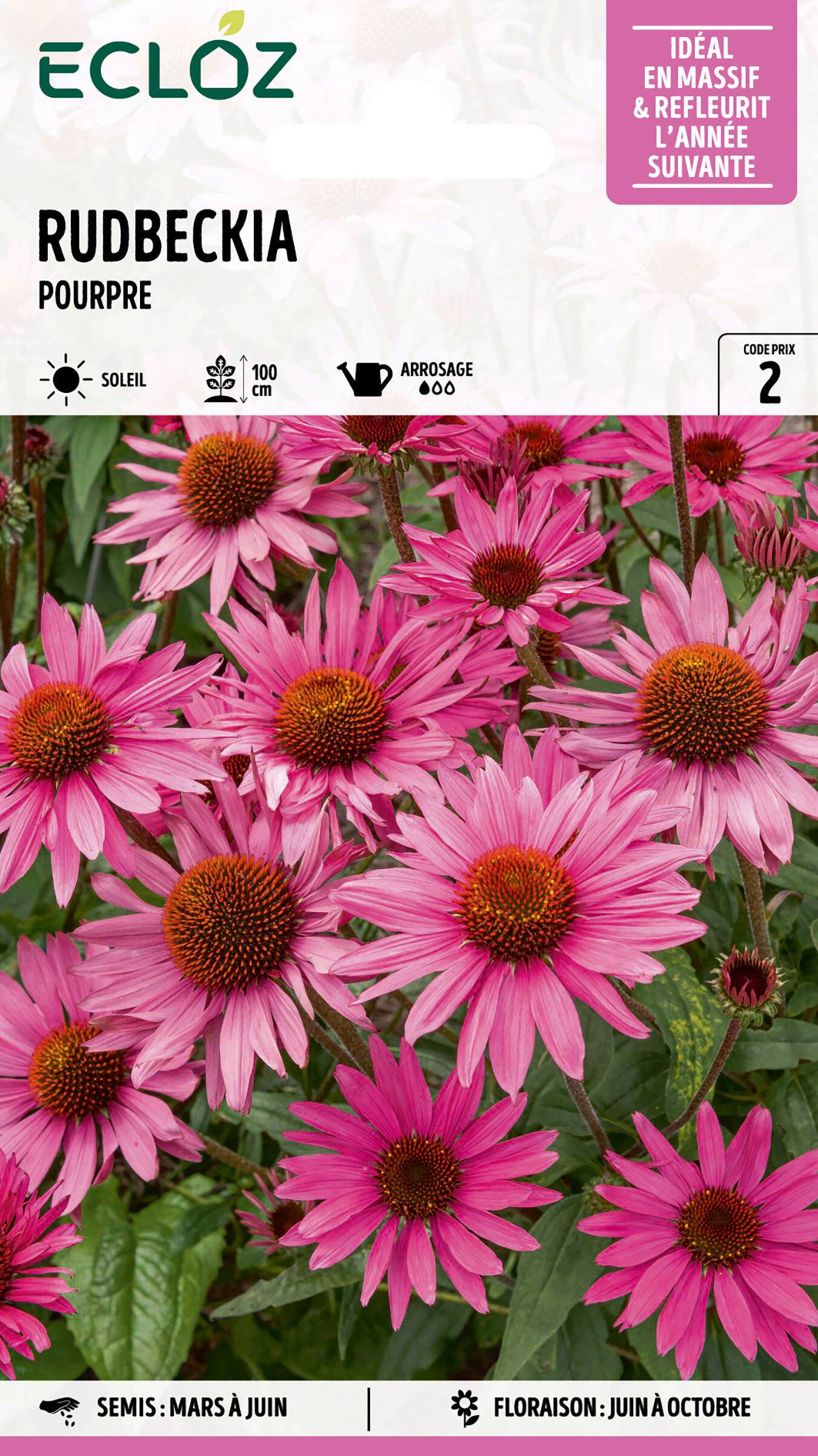 Ecloz - Rudbeckia Pourpre graines sachet 0,5 g - ECLOZ - Image 1