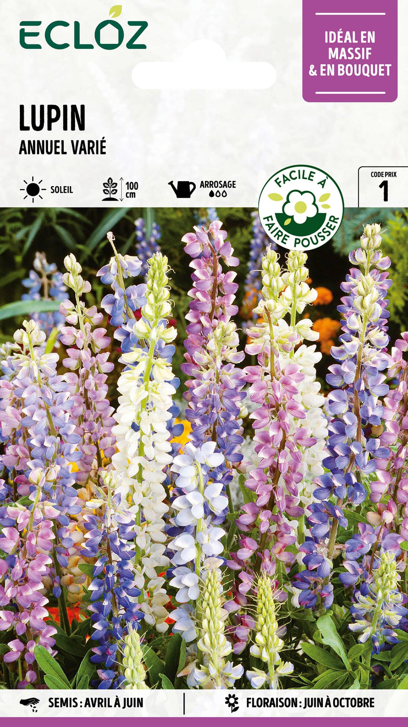 Ecloz - Lupin annuel varié graines sachet 4 g - ECLOZ - Image 1