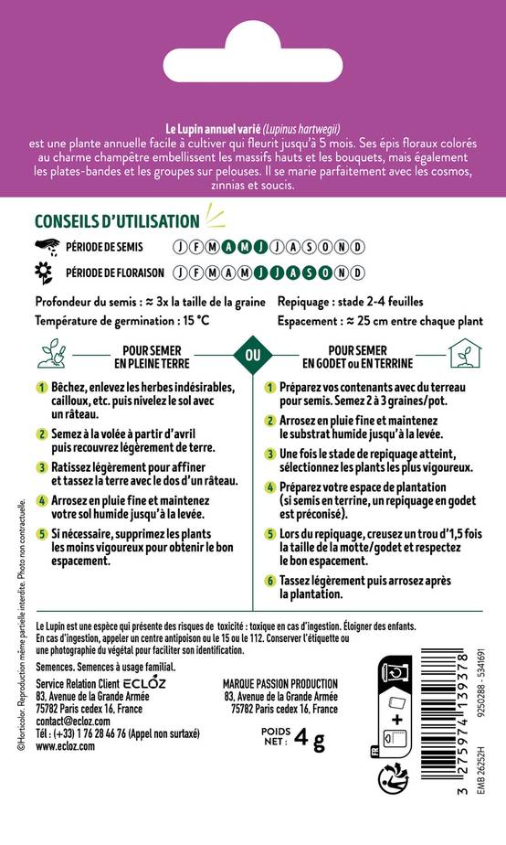 Ecloz - Lupin annuel varié graines sachet 4 g - ECLOZ - Image 2