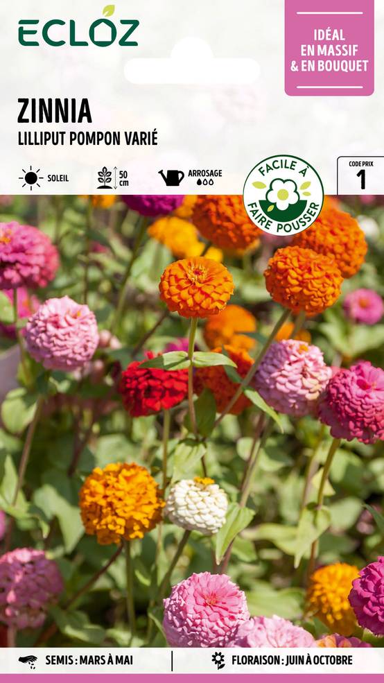 Ecloz - Zinnia Lilliput Pompon varié graines sachet 3 g - ECLOZ - Image 1