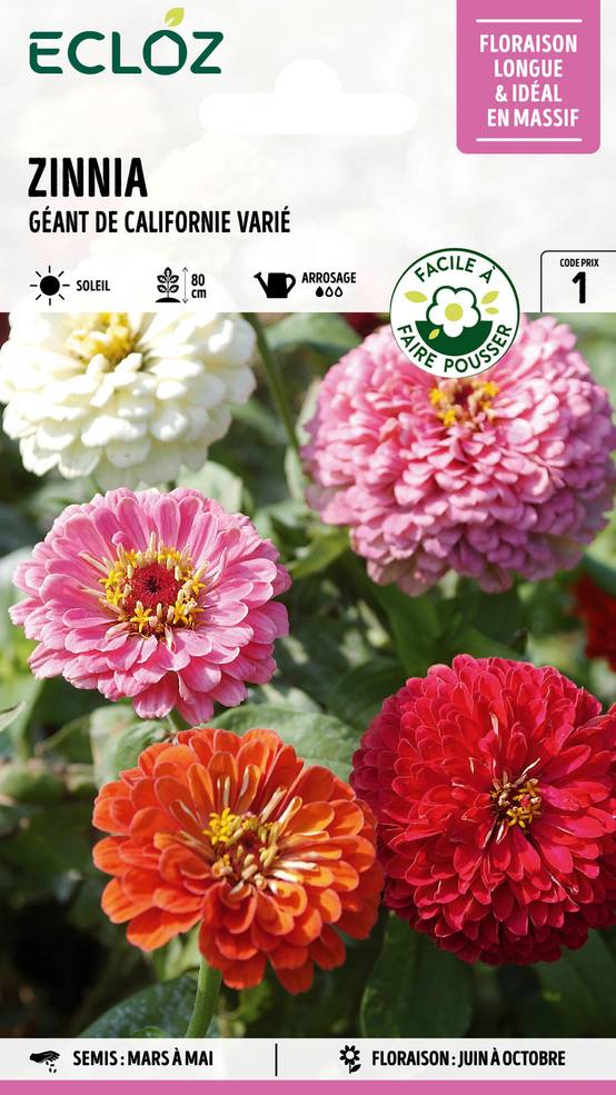 Ecloz - Zinnia géant de Californie varié graines sachet 3 g - ECLOZ - Image 1