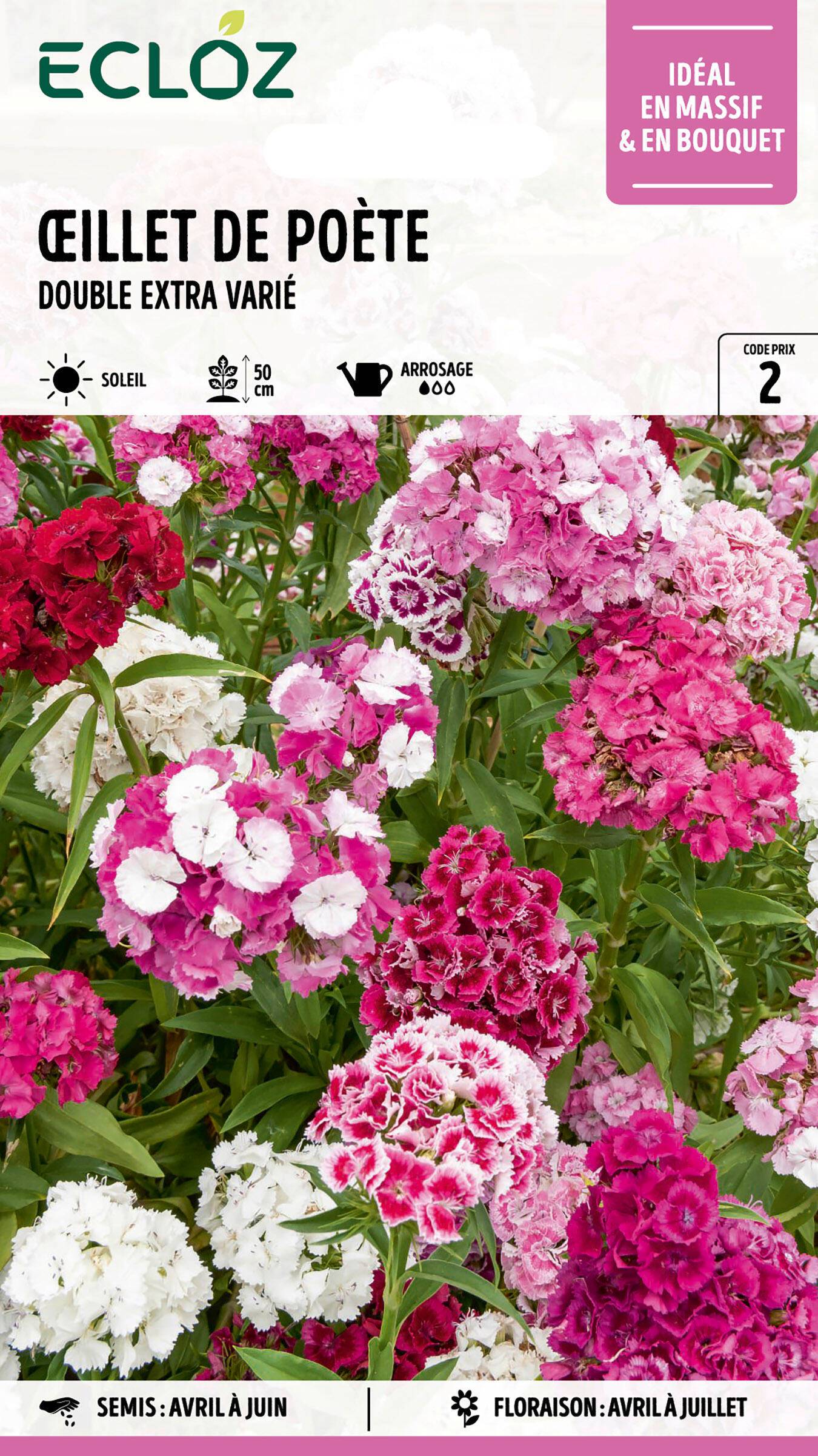 Ecloz - Œillet de Poète double varié Extra graines sachet 2,2 g - ECLOZ