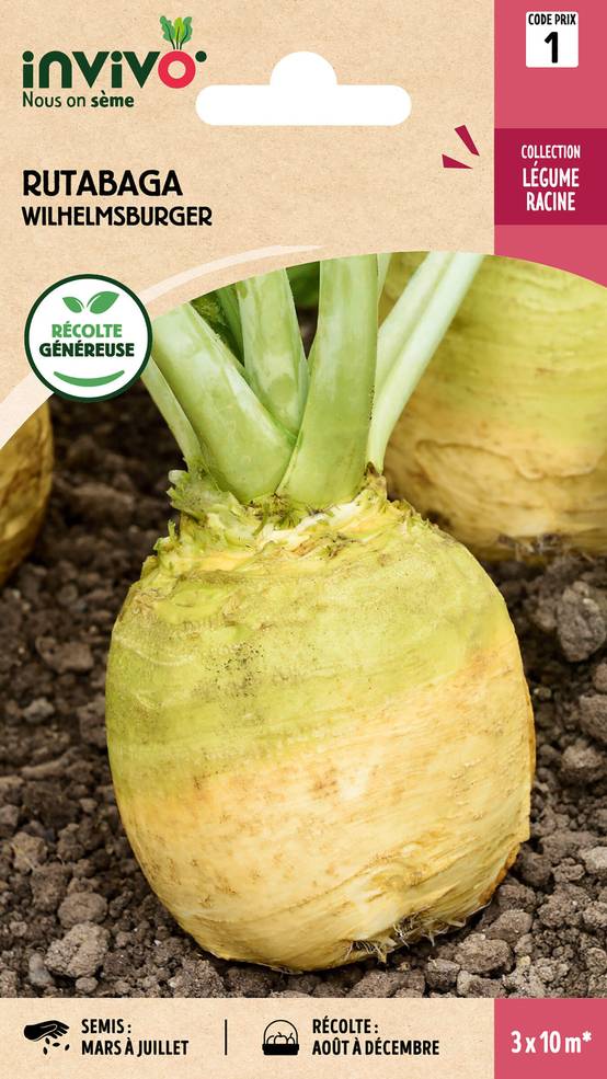 Invivo Nous On Sème - Chou-Navet Rutabaga Wilhelmsburger Jaune à Collet Vert sachet de 10g - Série 1 - INVIVO Nous on sème - Image 1