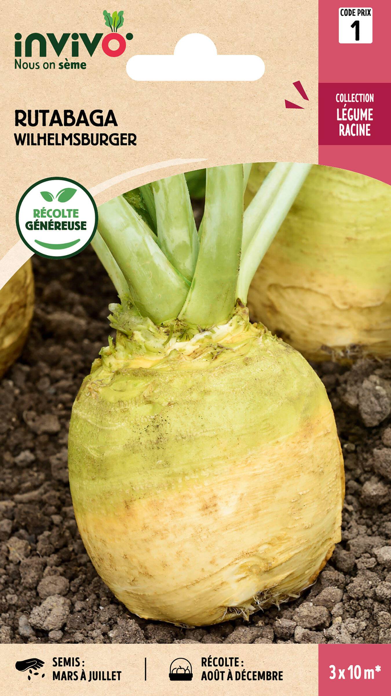 Invivo Nous On Sème - Chou-Navet Rutabaga Wilhelmsburger Jaune à Collet Vert sachet de 10g - Série 1 - INVIVO Nous on sème - Image 1