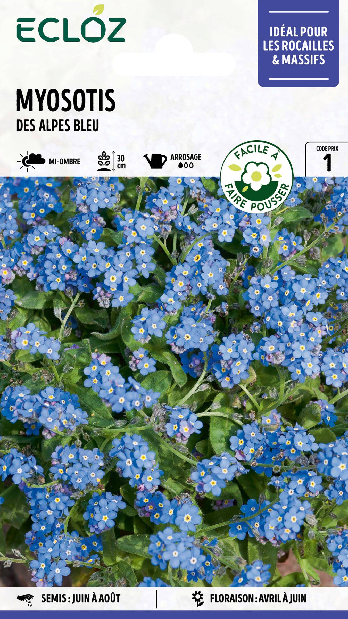 Ecloz - Myosotis des Alpes bleu graines sachet 0,8 g - ECLOZ