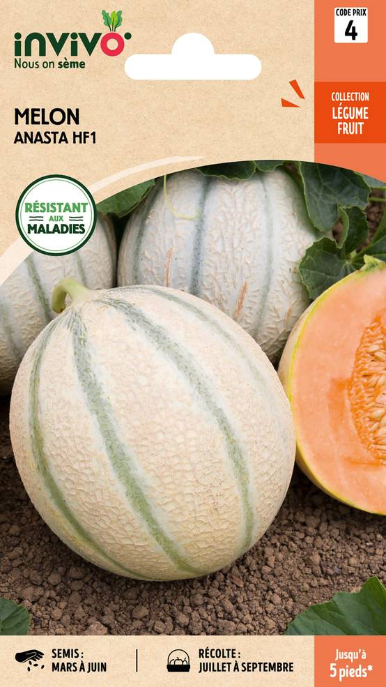 Invivo Nous On Sème - Melon Charentais Anasta HF1 sachet de 0,25g - Série 4 - INVIVO Nous on sème - Image 1