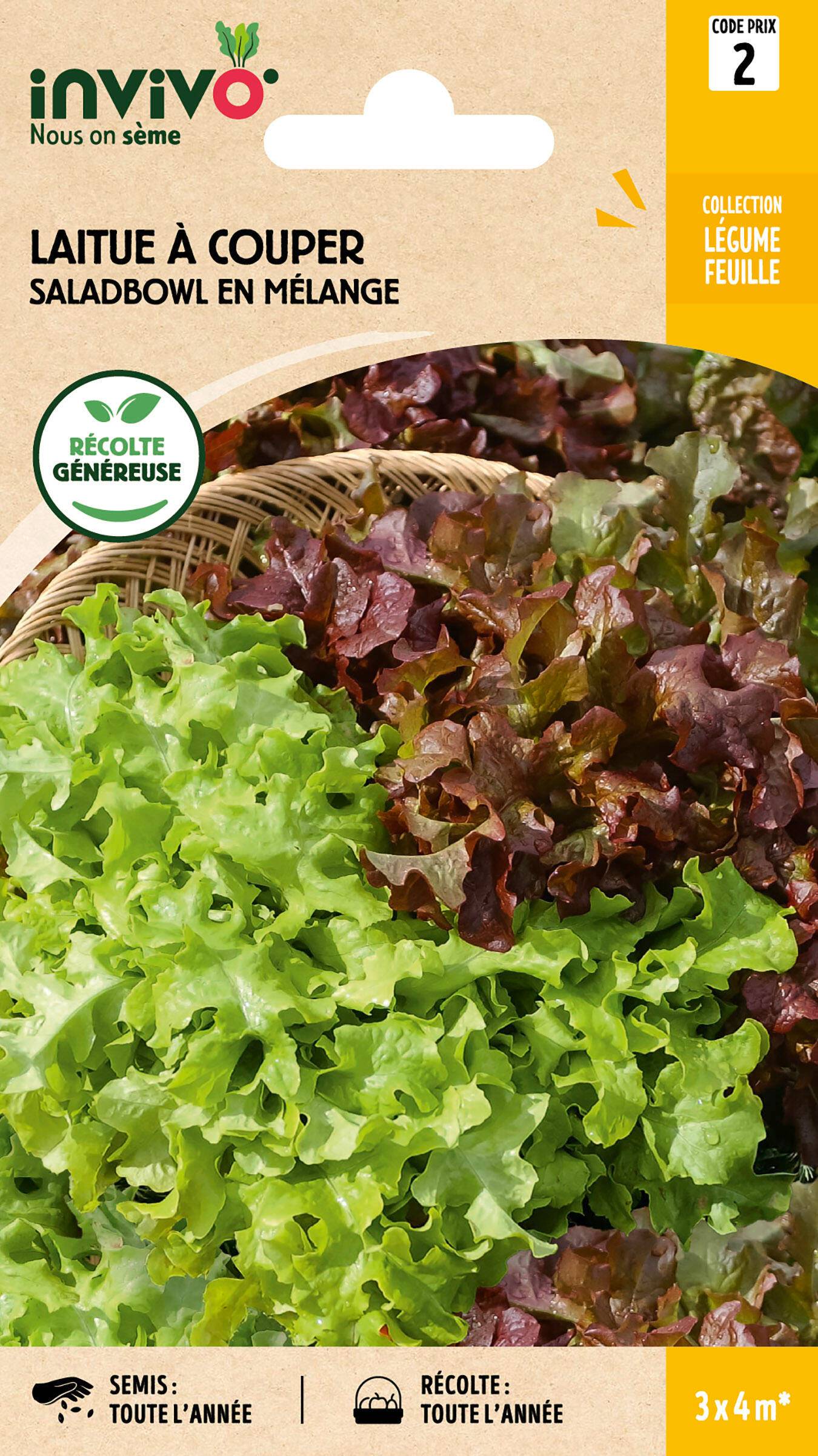 Invivo Nous On Sème - Laitue à Couper Saladbowl en Mélange sachet de 4g - Série 2 - INVIVO Nous on sème - Image 1