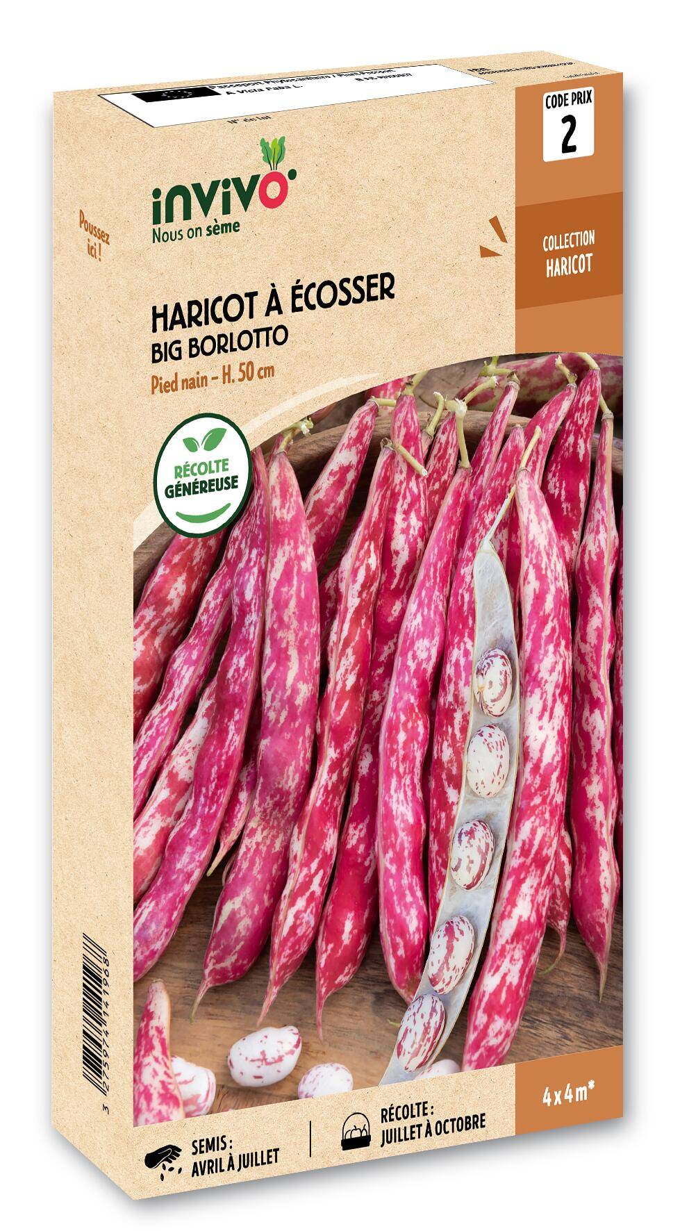 Invivo Nous On Sème - Haricot Nain à Ecosser Big Borlotto boîte de 200g - Série 2 - INVIVO Nous on sème - Image 1