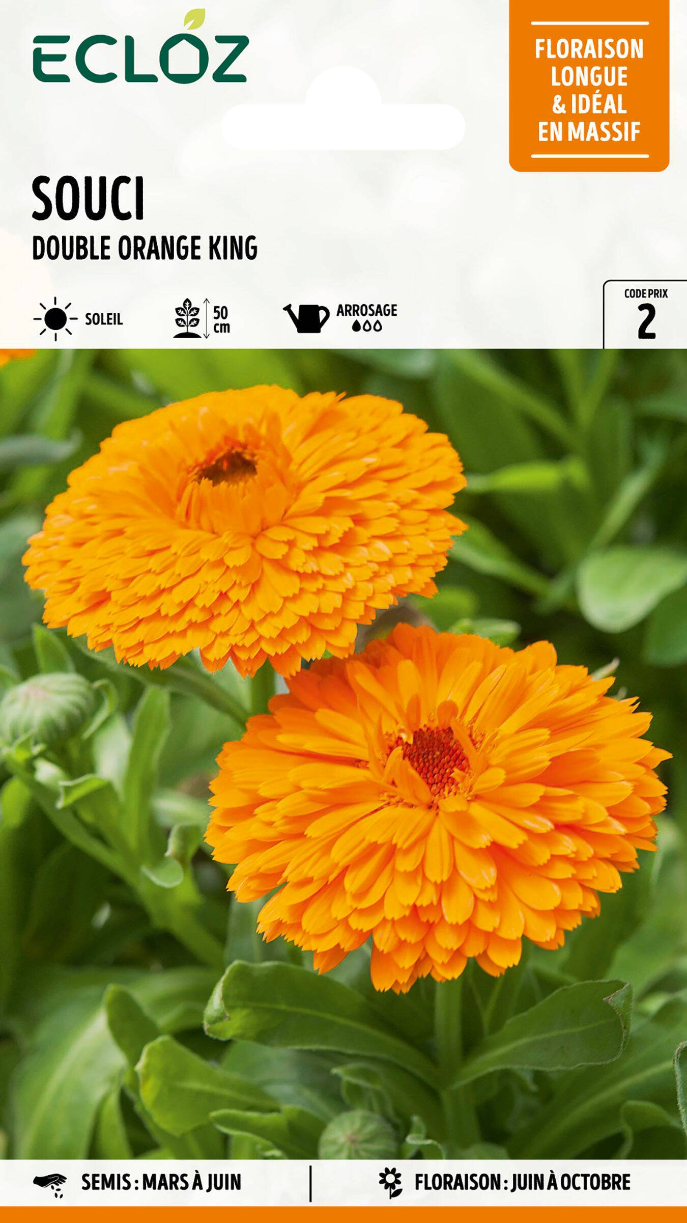 Ecloz - Souci double Orange King graines sachet 3 g - ECLOZ