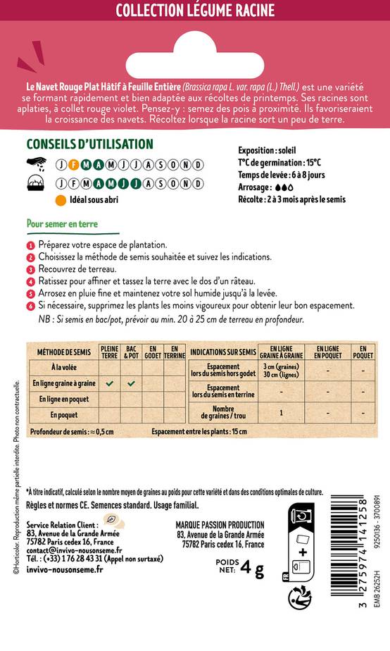 Invivo Nous On Sème - Navet-Légume Rouge Plat Hâtif à Feuille Entière sachet de 4g - Série 1 - INVIVO Nous on sème - Image 2