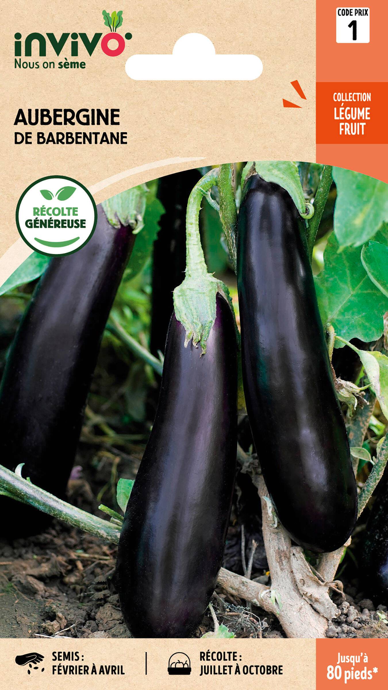 Invivo Nous On Sème - Aubergine de Barbentane sachet de 1,5g - Série 1 - INVIVO Nous on sème