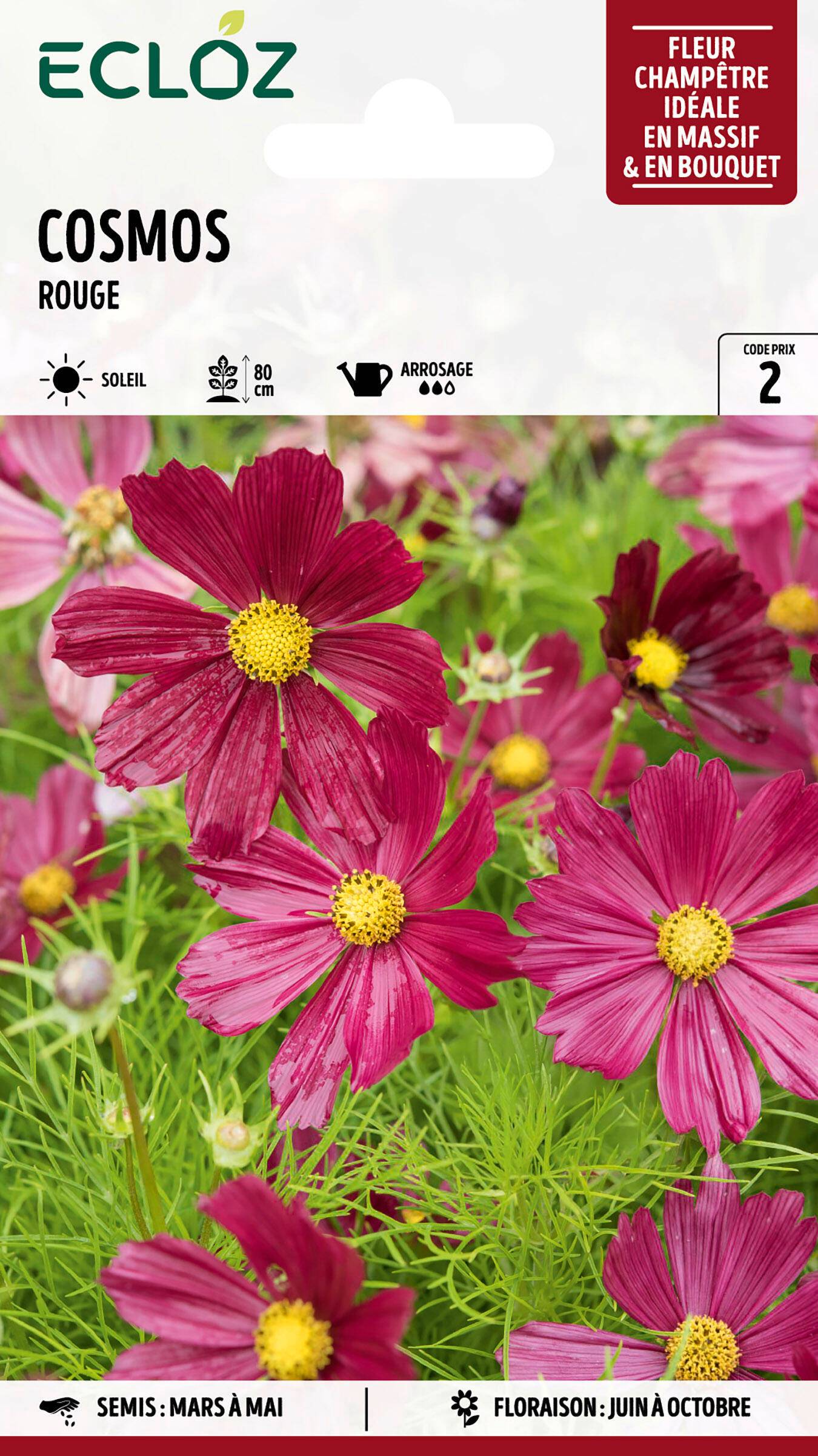 Ecloz - Cosmos Rouge graines sachet 1,5 g - ECLOZ - Image 1