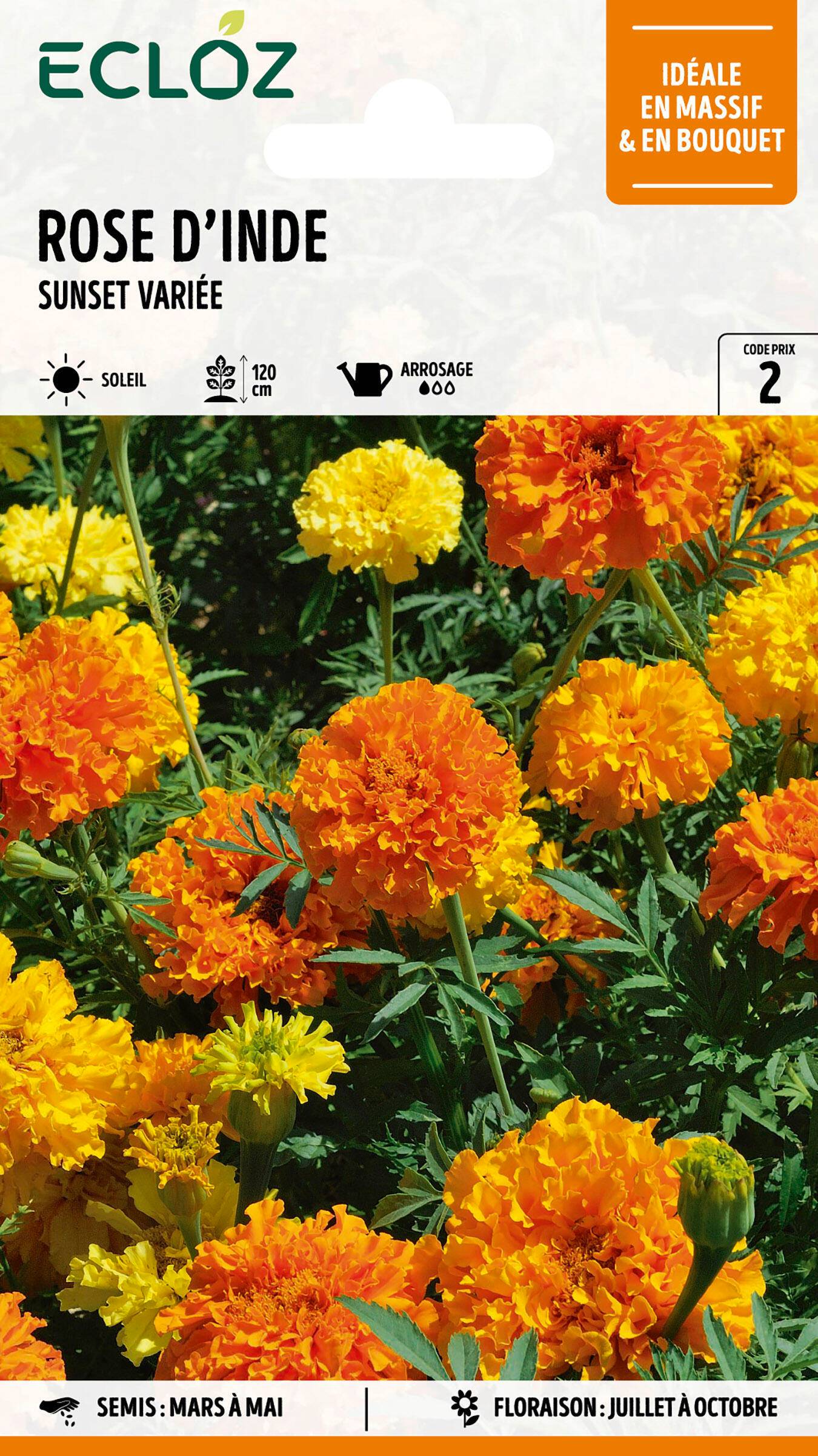 Ecloz - Rose d'Inde Sunset variée graines sachet 2 g - ECLOZ - Image 1