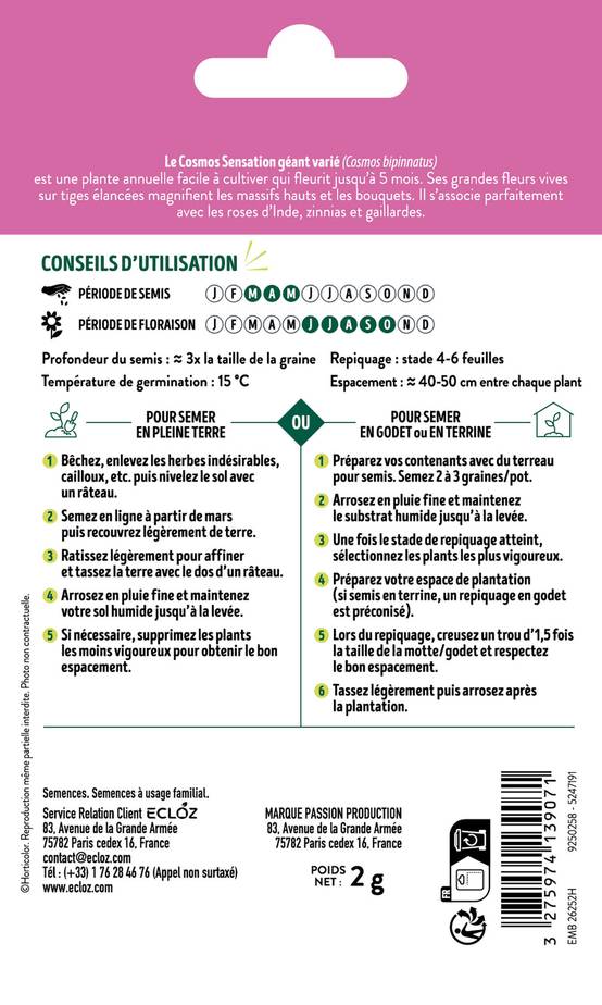 Ecloz - Cosmos Sensation géant varié graines sachet 2 g - ECLOZ - Image 2