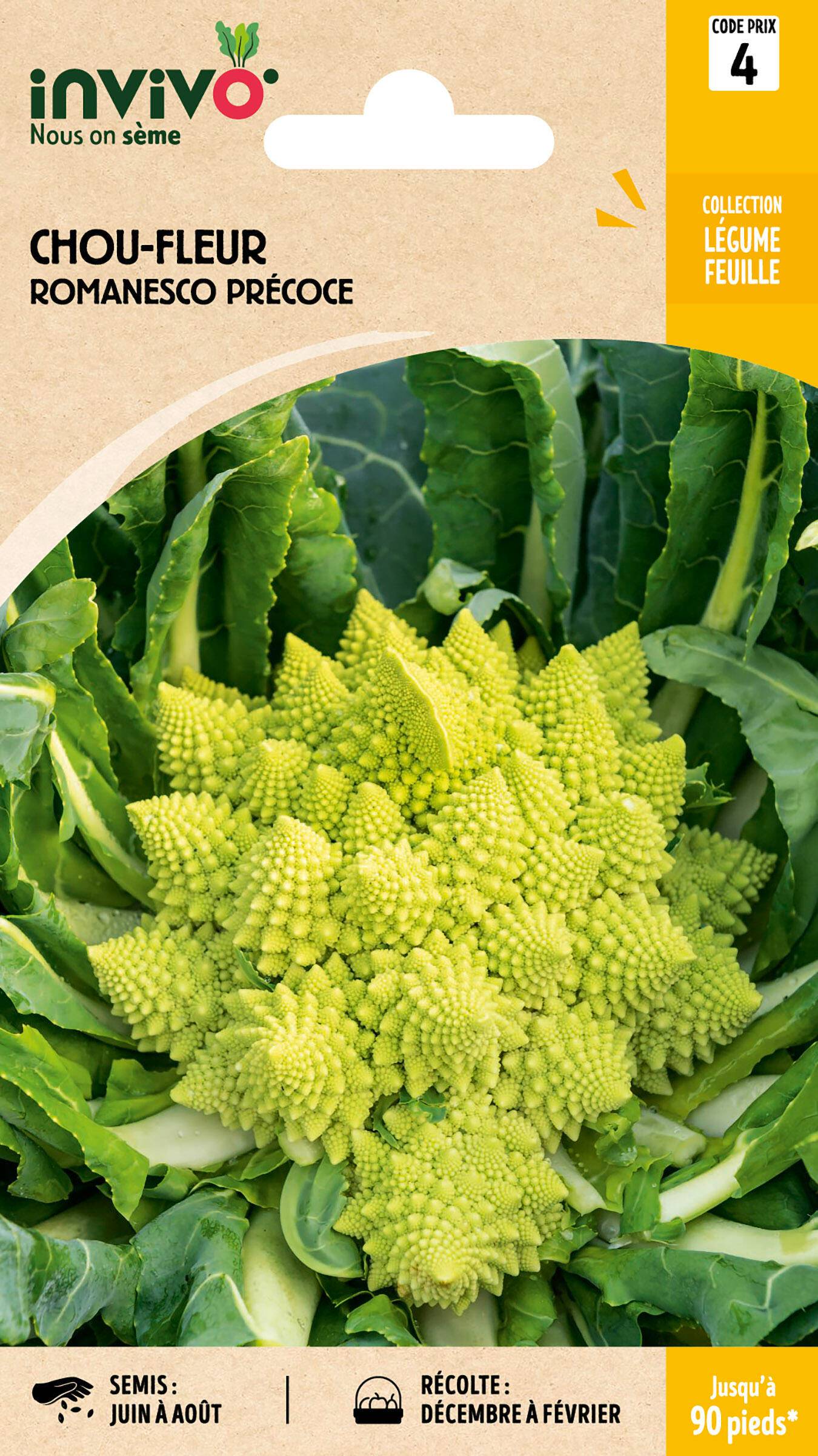 Invivo Nous On Sème - Chou-Fleur Romanesco Précoce sachet de 2g - Série 4 - INVIVO Nous on sème - Image 1