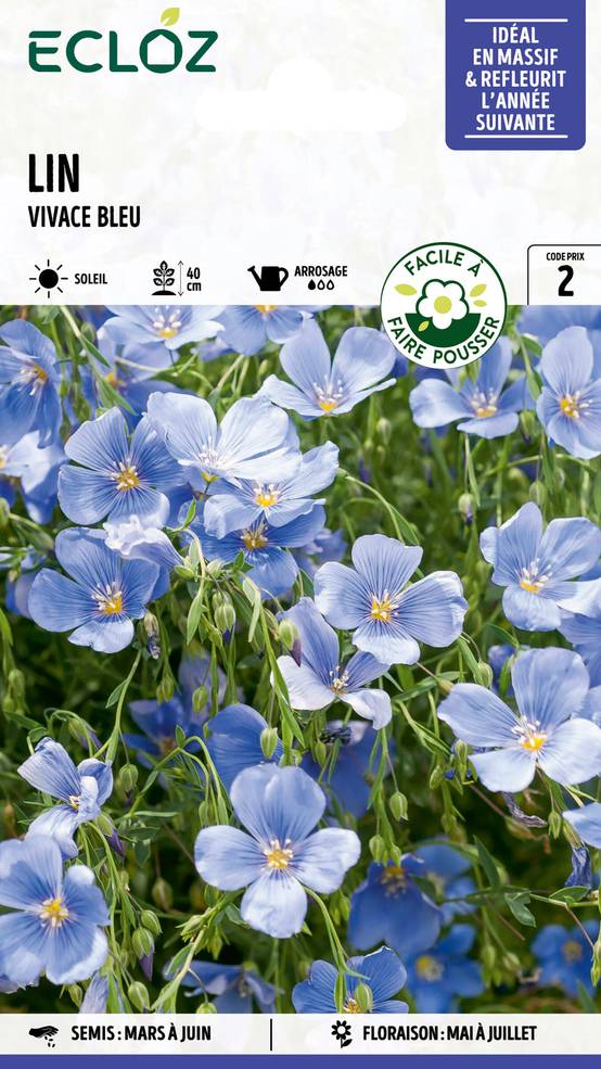 Ecloz - Lin vivace bleu graines sachet 2 g - ECLOZ - Image 1