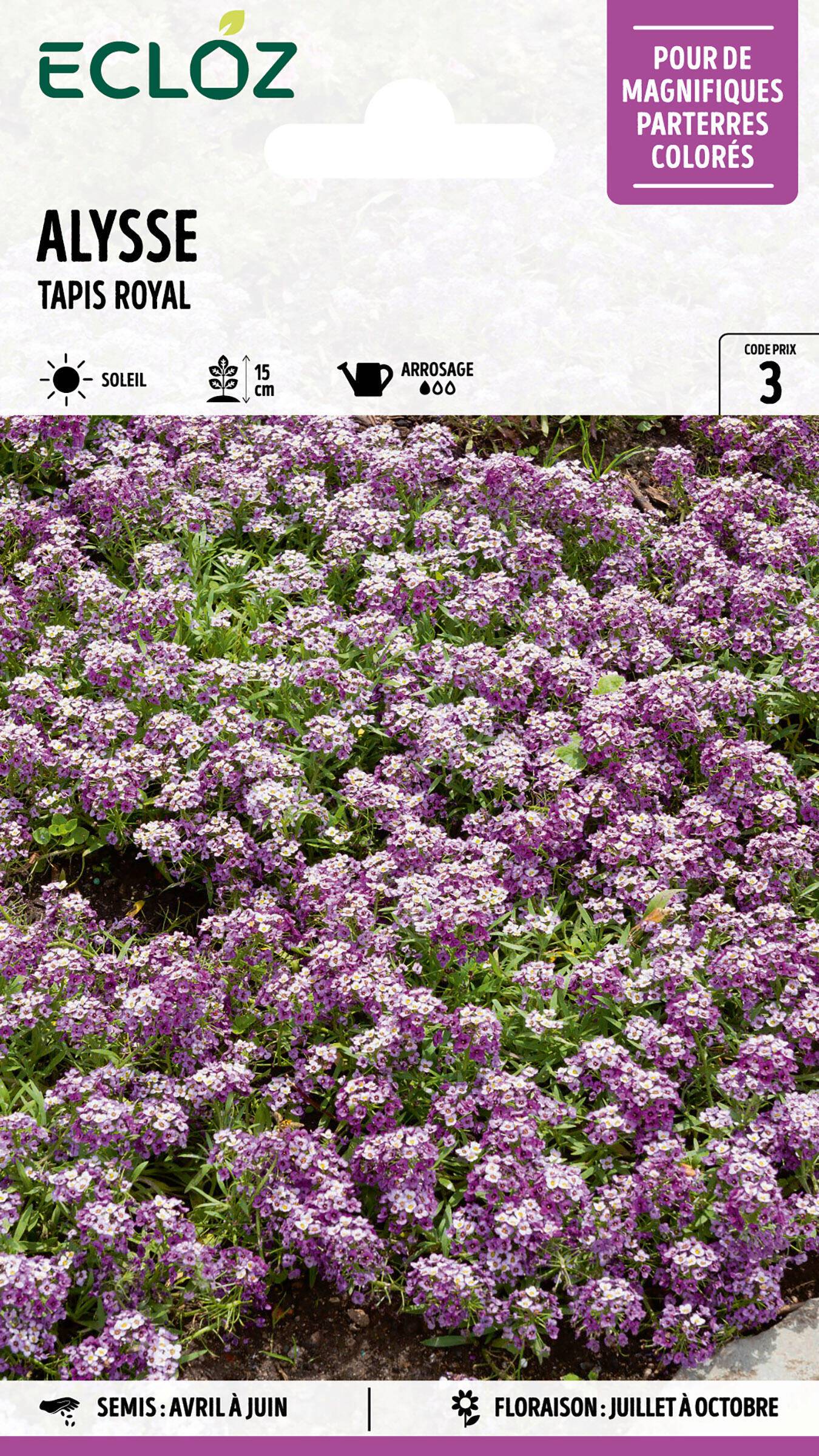 Ecloz - Alysse Tapis Royal graines sachet 0,8 g - ECLOZ - Image 1