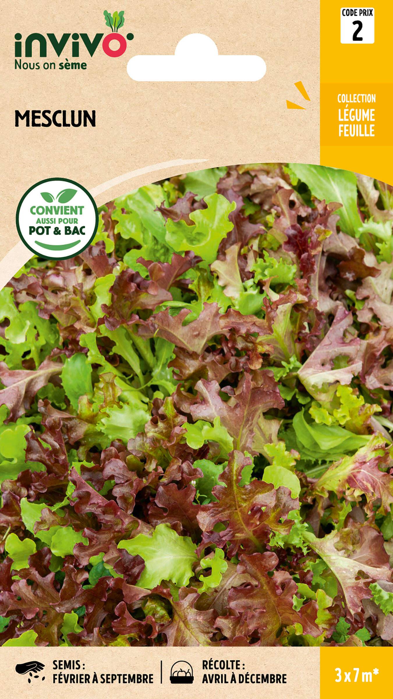 Invivo Nous On Sème - Mesclun  sachet de 7g - Série 2 - INVIVO Nous on sème - Image 1