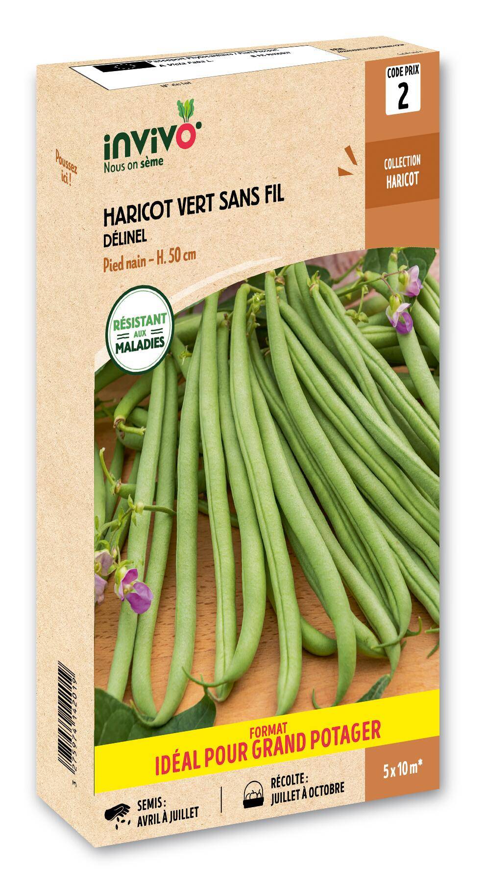 Invivo Nous On Sème - Haricot Nain Vert Delinel à Filet Sans Fil en boîte de 500g - Série 2 - INVIVO Nous on sème