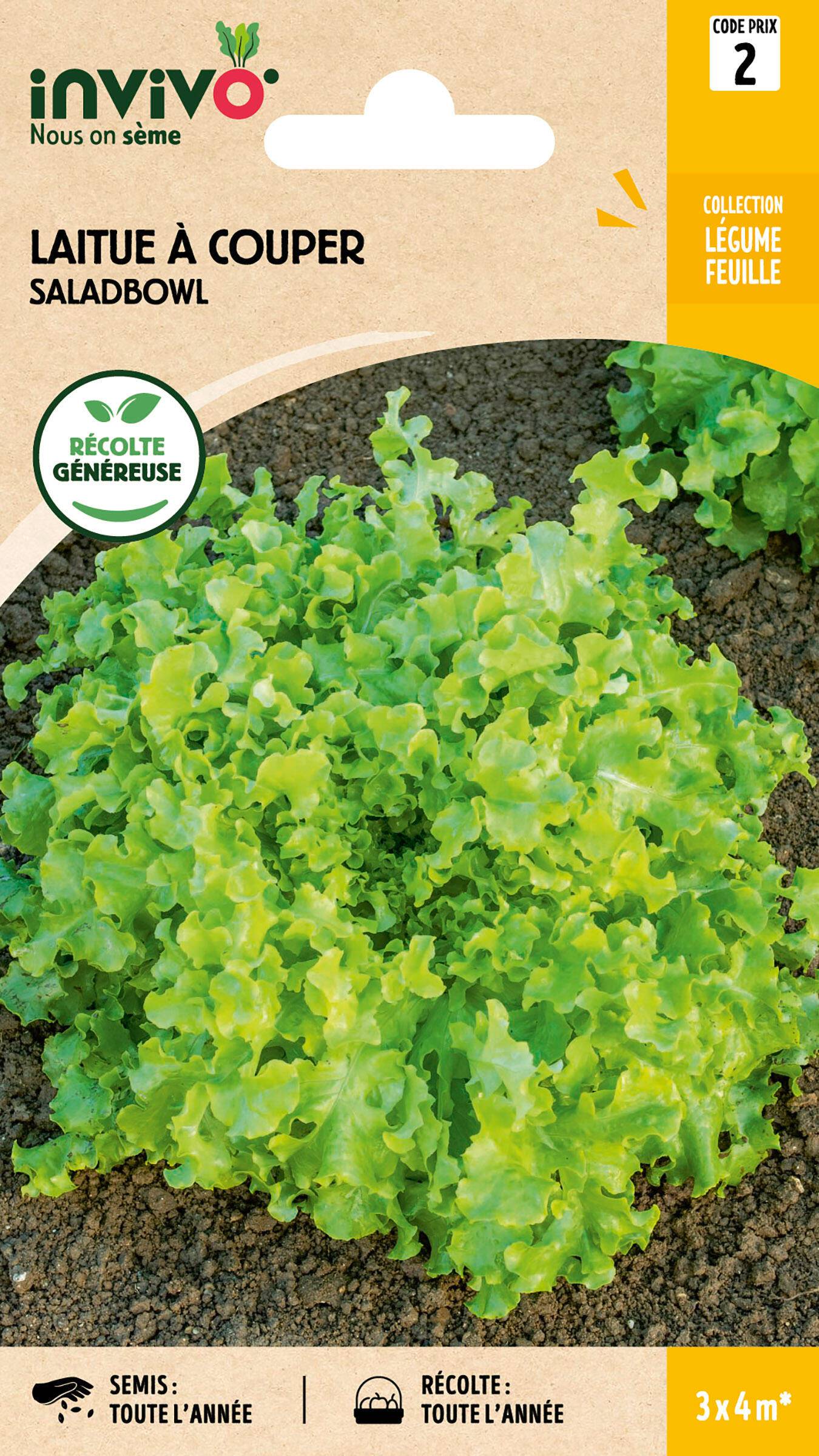 Invivo Nous On Sème - Laitue à Couper Saladbowl sachet de 4g - Série 2 - INVIVO Nous on sème - Image 1