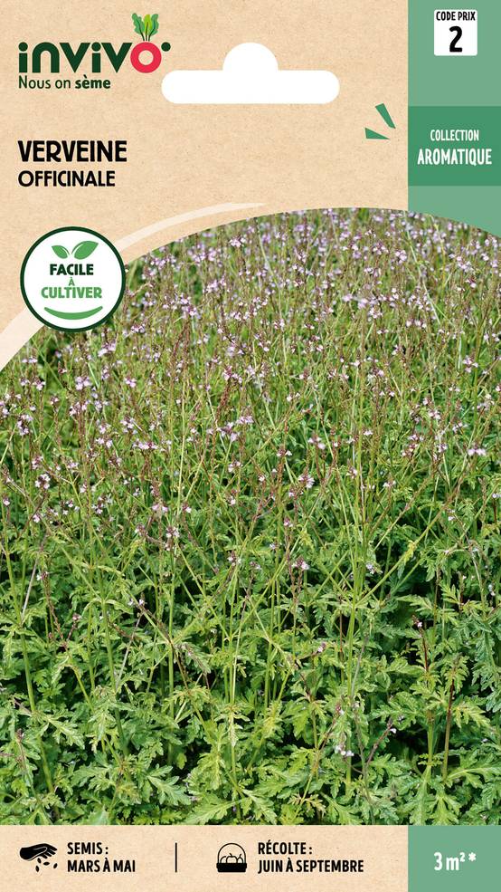 Invivo Nous On Sème - Verveine officinale graines sachet 0,2 g - INVIVO Nous on sème - Image 1