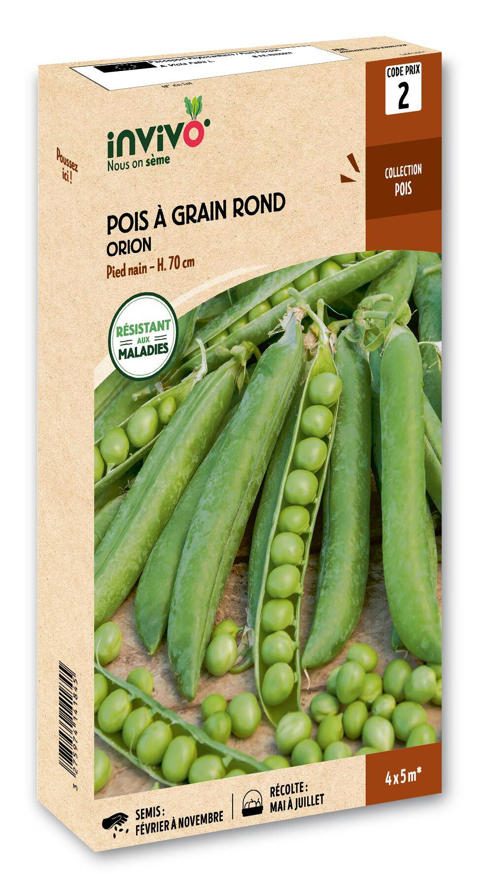 Invivo Nous On Sème - Pois Nain à Grain Rond Orion boîte de 200g - Série 2 - INVIVO Nous on sème - Image 1