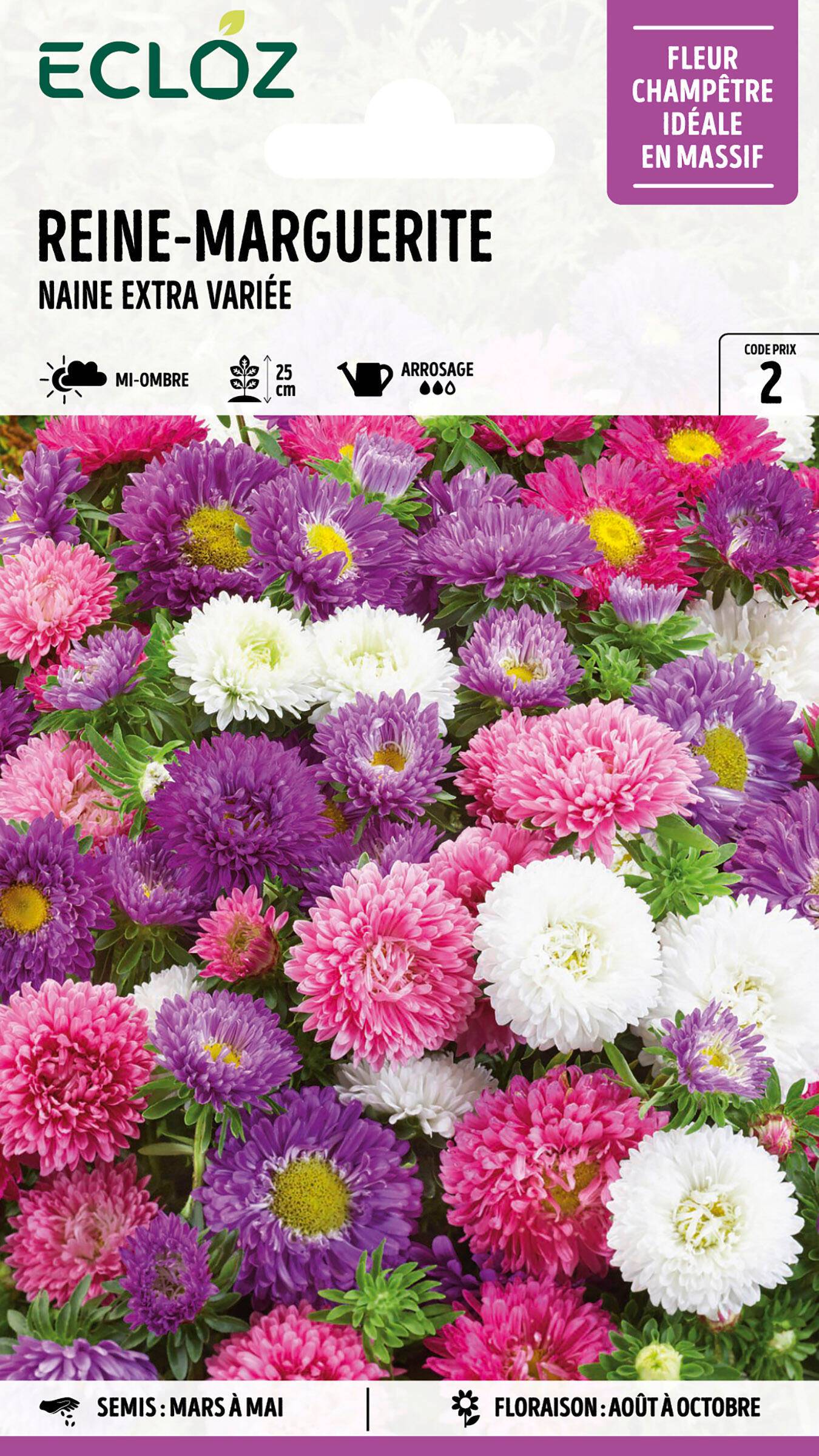 Ecloz - Reine-Marguerite naine variée Extra graines sachet 1,2 g - ECLOZ - Image 1