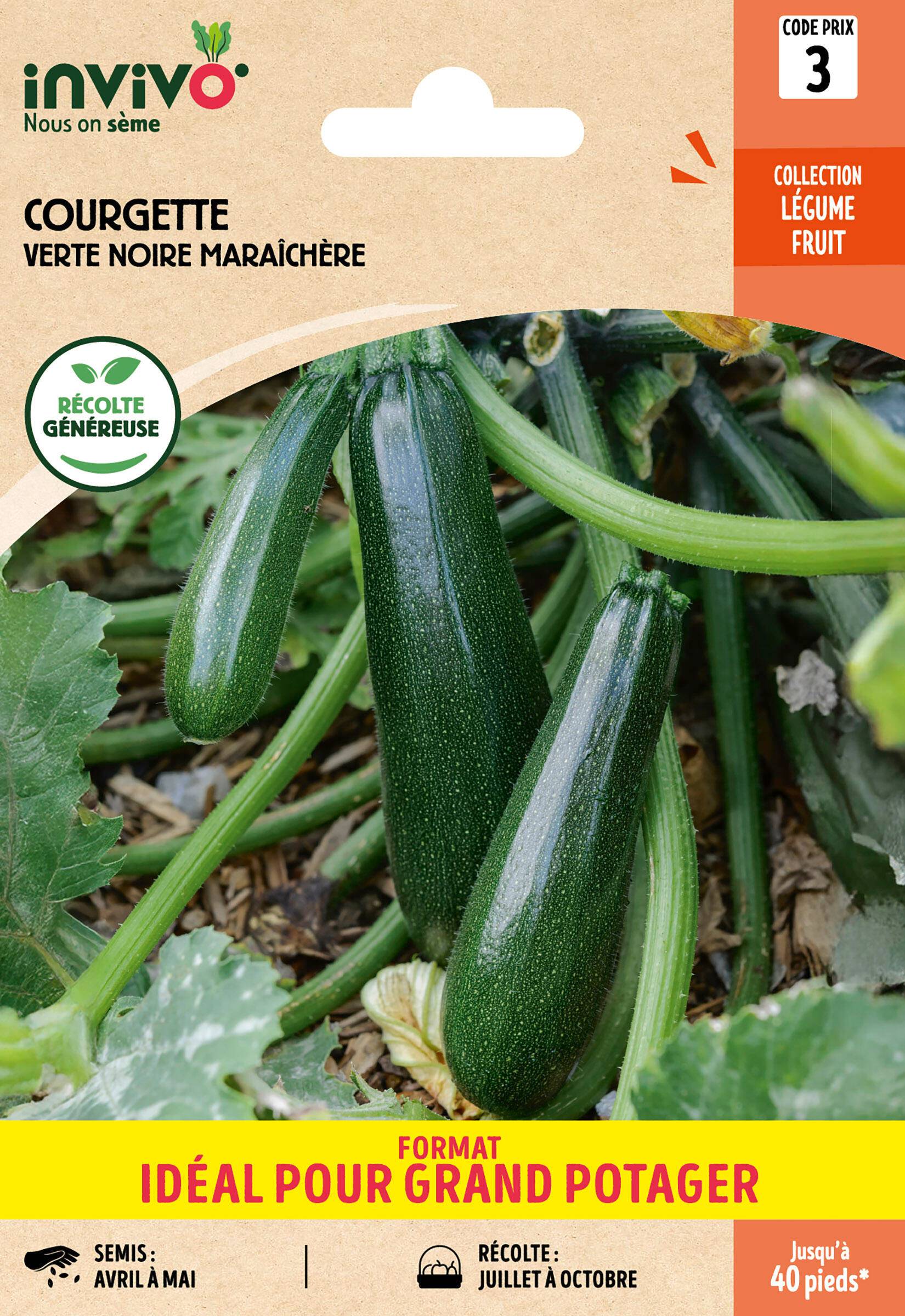 Invivo Nous On Sème - Courgette Verte Noire Maraîchère  sachet de 10g grand modèle - Série 3 - INVIVO Nous on sème - Image 1