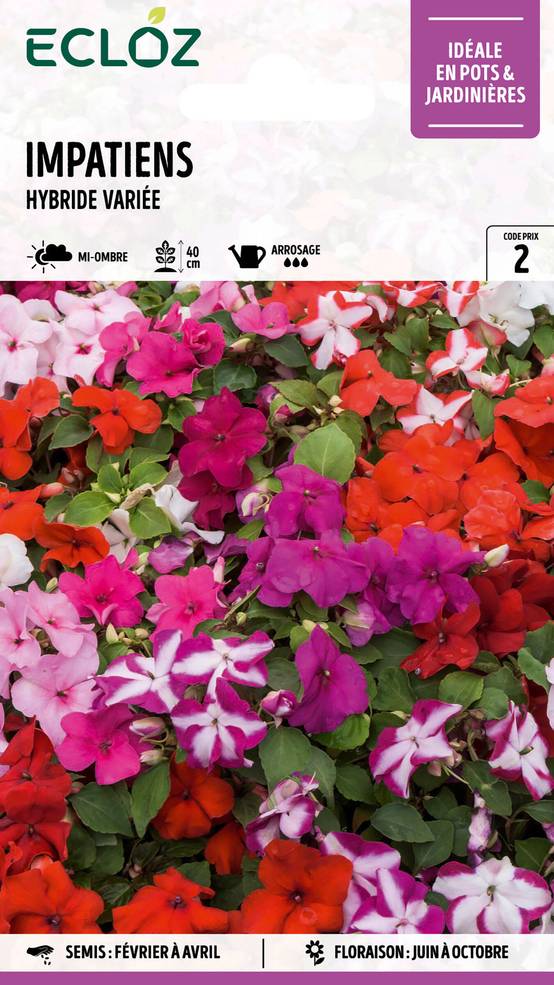 Ecloz - Impatiens Hybride varié graines sachet 0,2 g - ECLOZ - Image 1