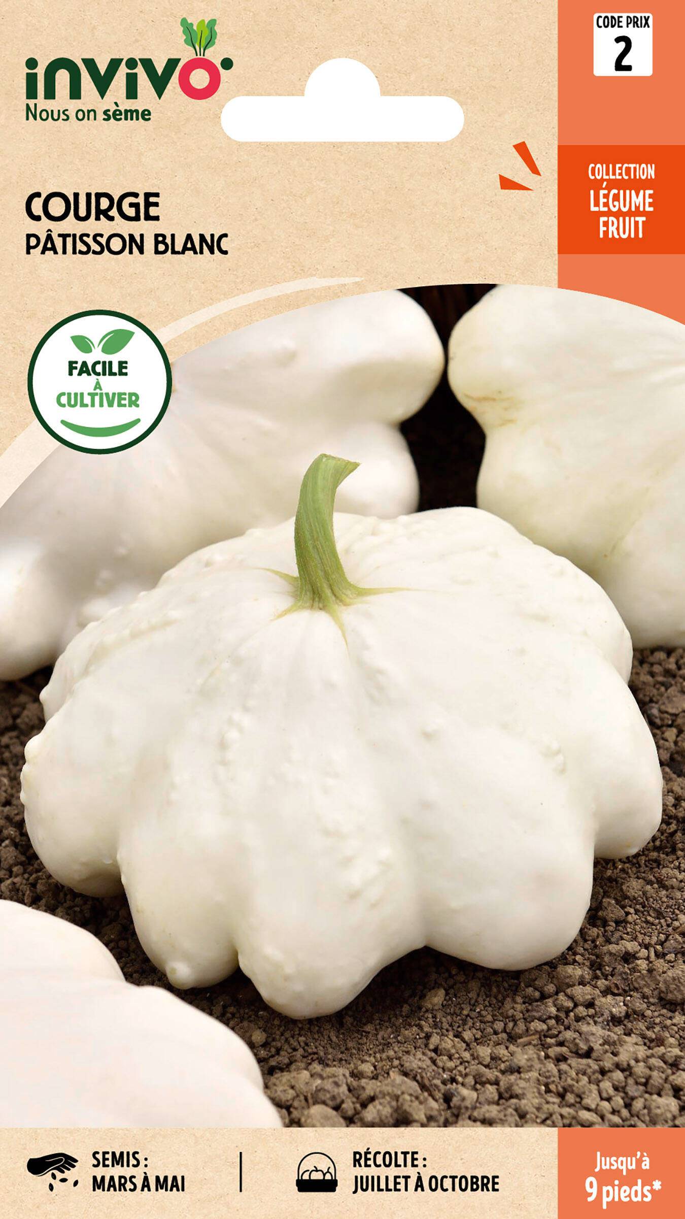 Invivo Nous On Sème - Courge Pâtisson Blanc sachet de 3g - Série 2 - INVIVO Nous on sème