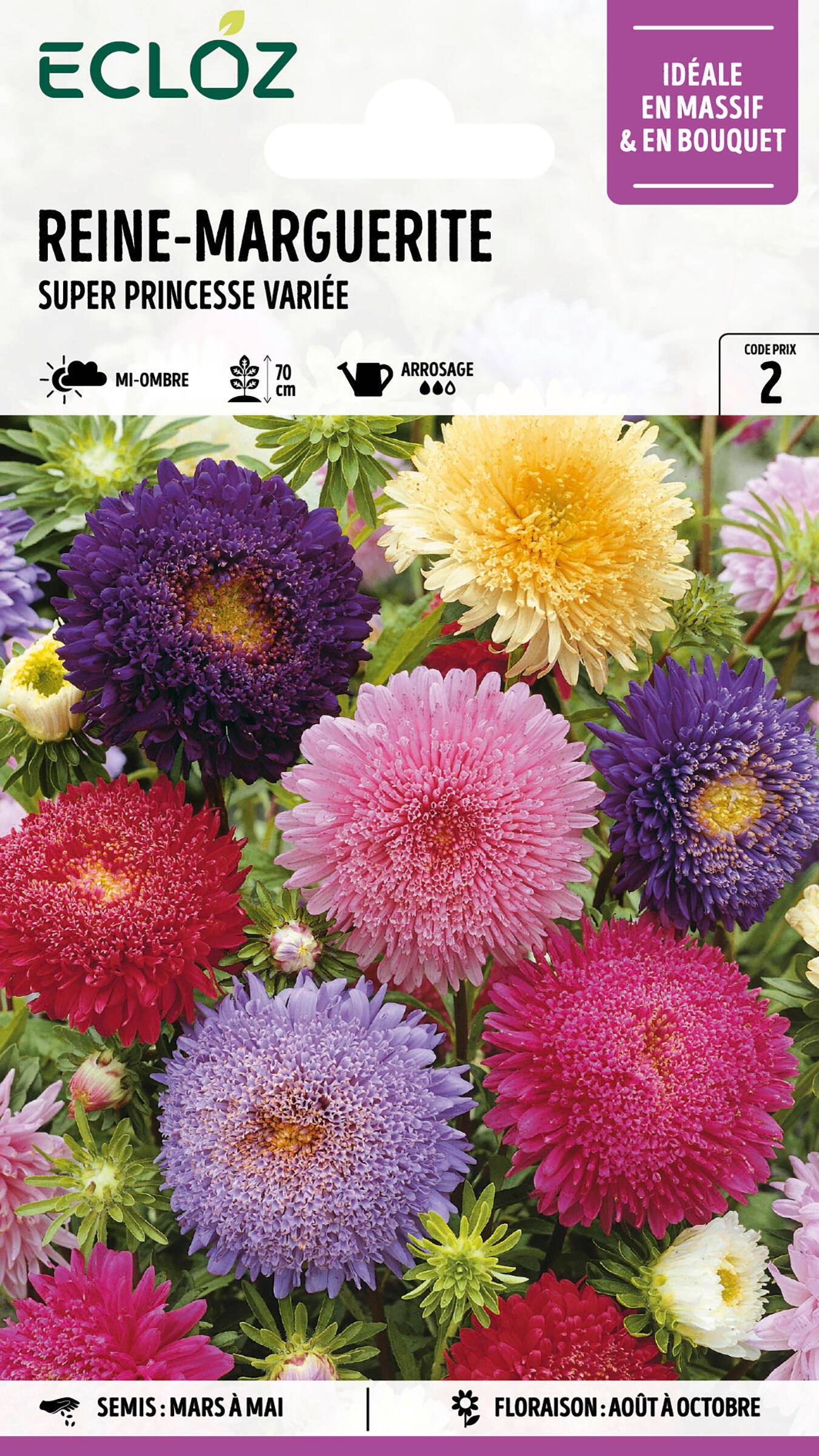 Ecloz - Reine-Marguerite Super Princesse variée graines sachet 1,2 g - ECLOZ - Image 1