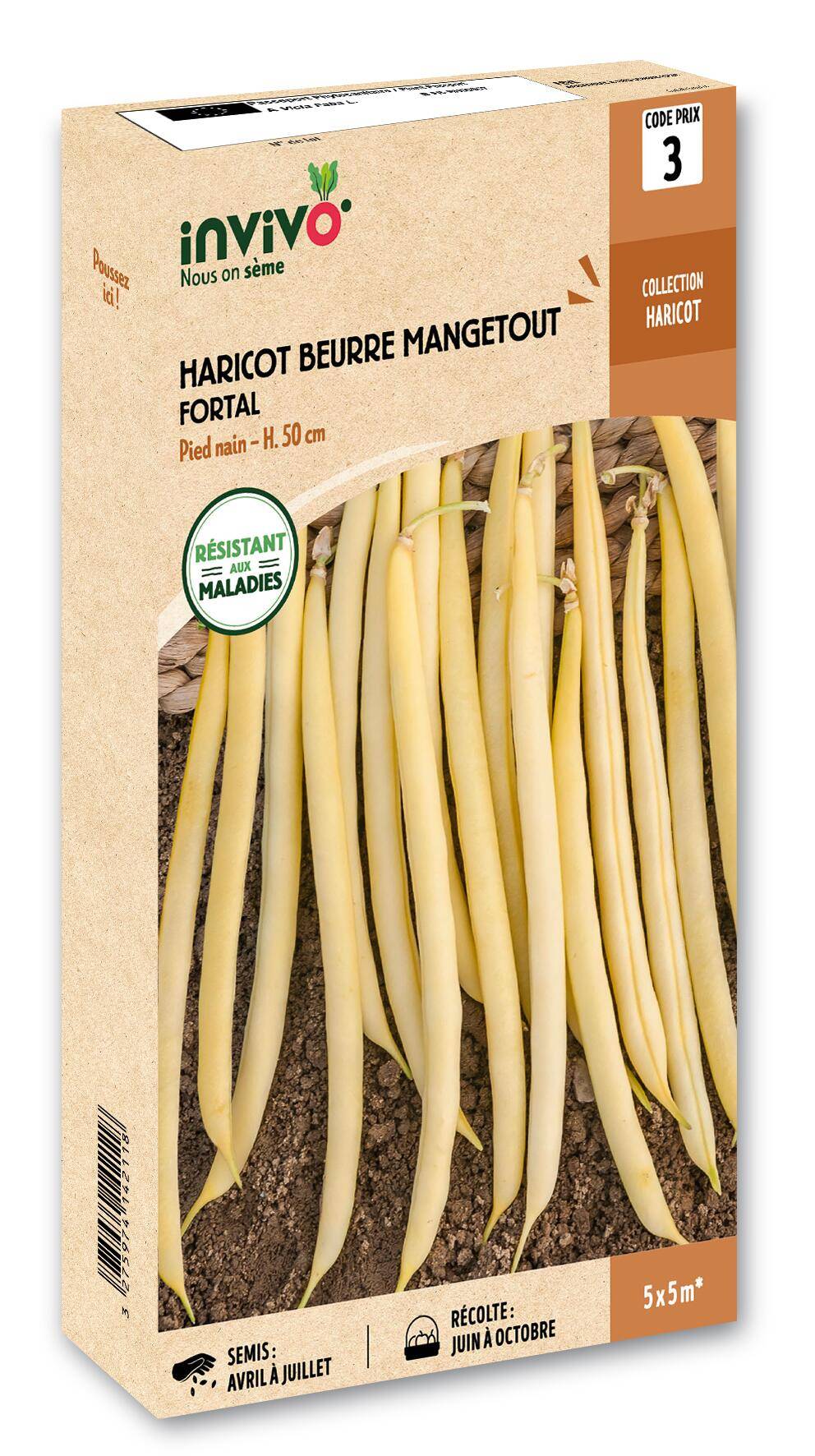 Invivo Nous On Sème - Haricot Nain Mangetout Beurre Fortal boîte de 200g - Série 3 - INVIVO Nous on sème - Image 1