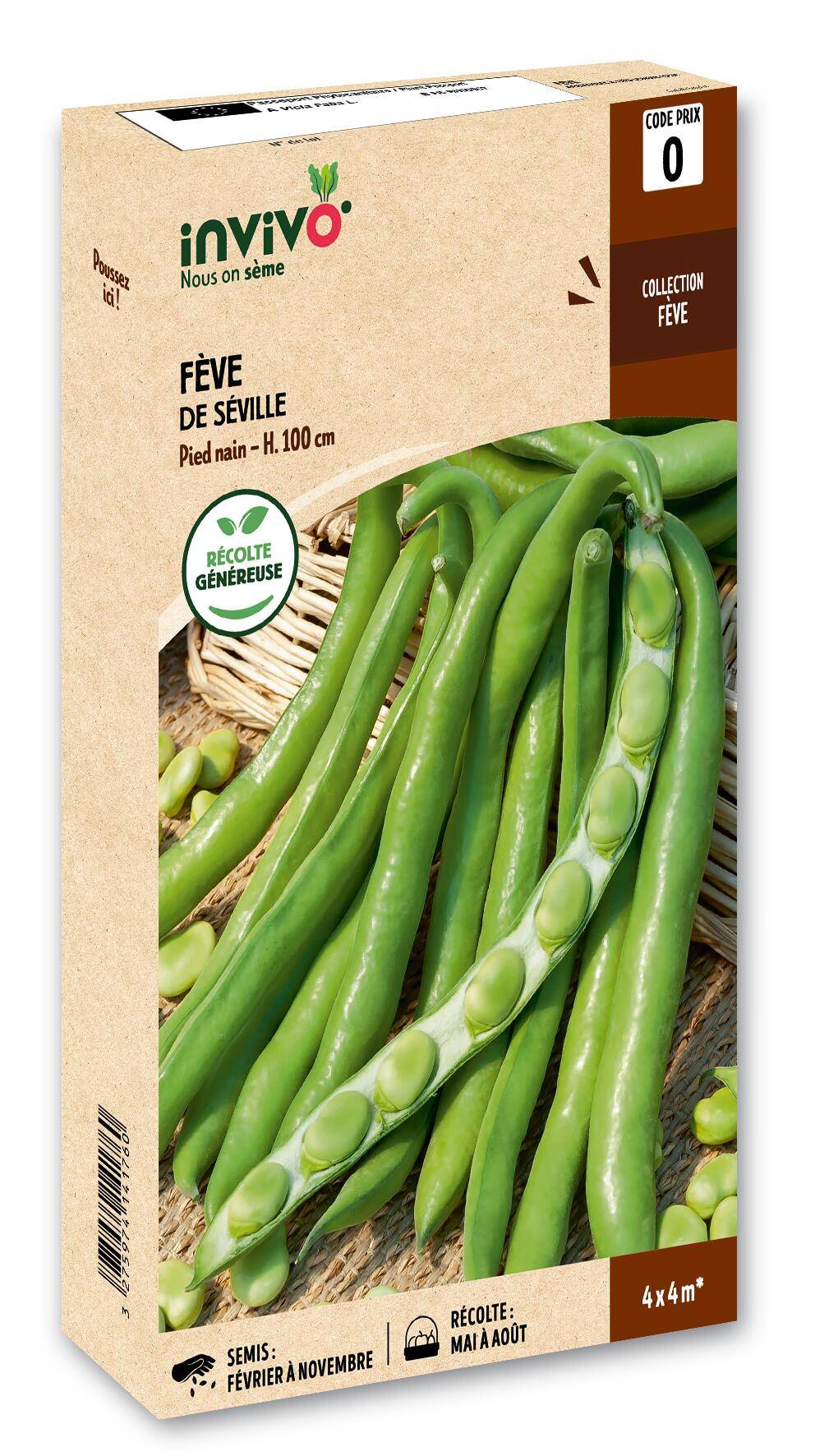 Invivo Nous On Sème - Fève de Séville boîte de 200g - Série 0 - INVIVO Nous on sème