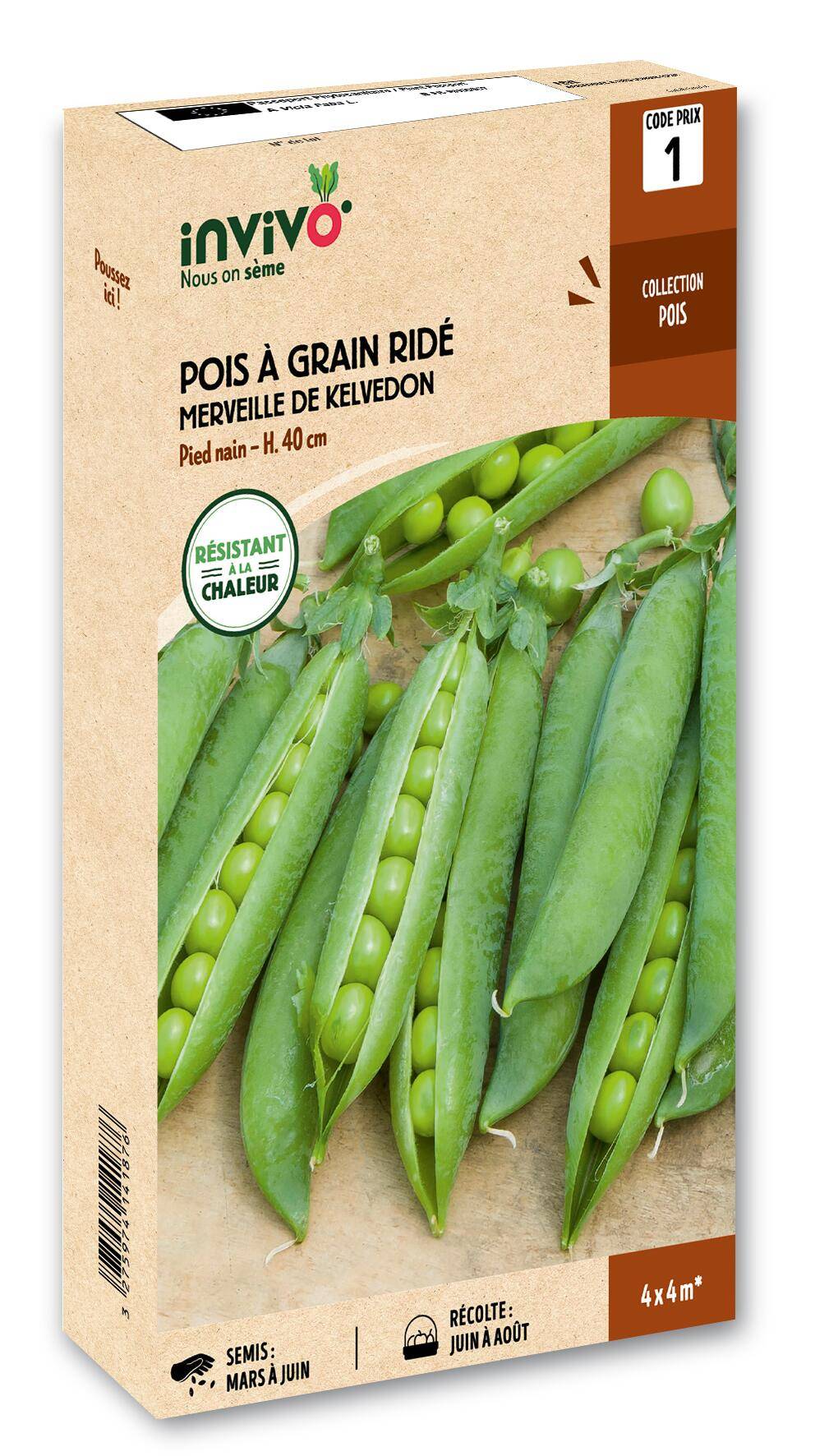 Invivo Nous On Sème - Pois Nain à Grain Ridé Merveille de Kelvedon boîte de 200g - Série 1 - INVIVO Nous on sème - Image 1