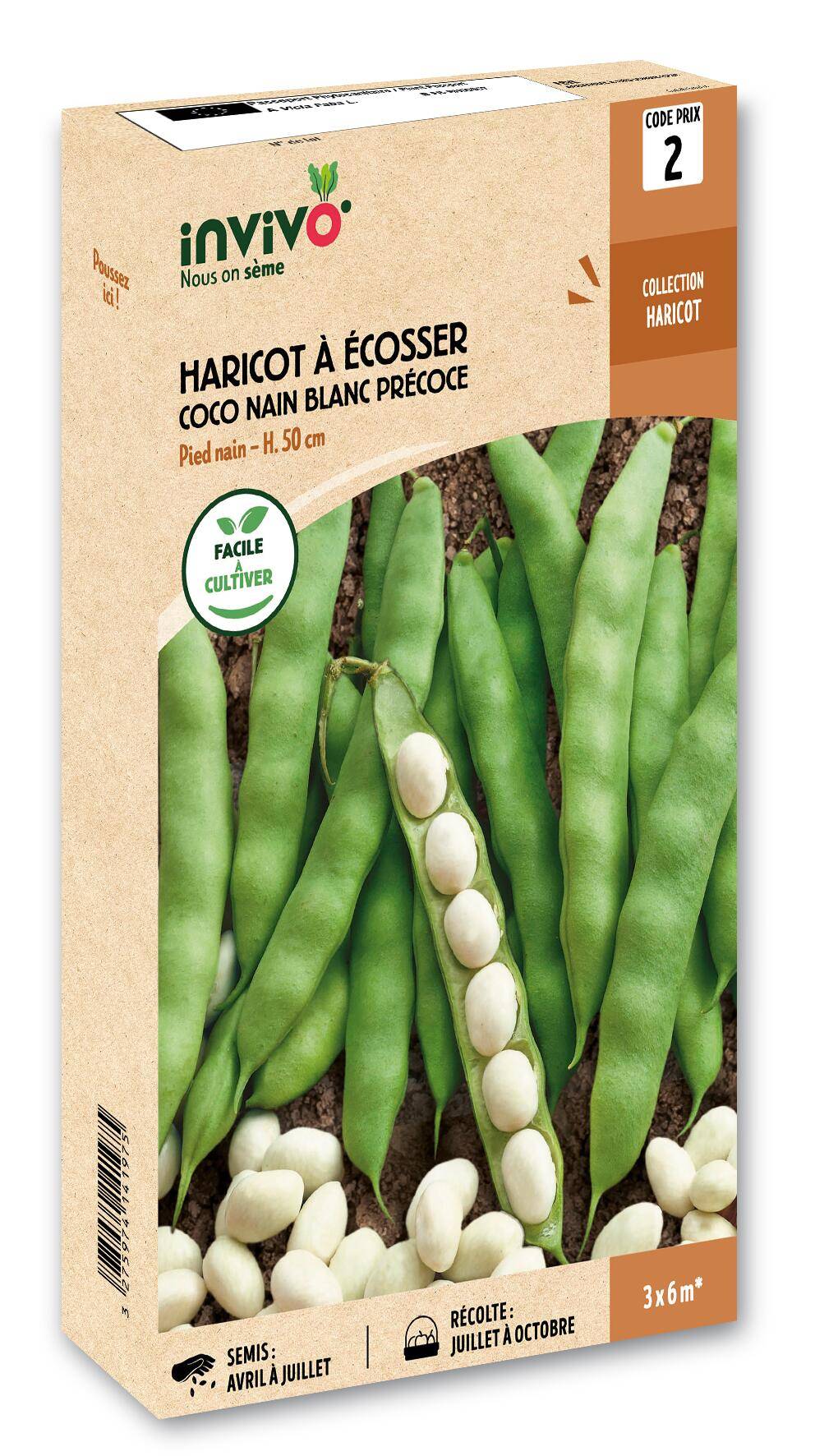 Invivo Nous On Sème - Haricot Nain à Ecosser Coco Blanc Précoce  boîte de 200g - Série 2 - INVIVO Nous on sème