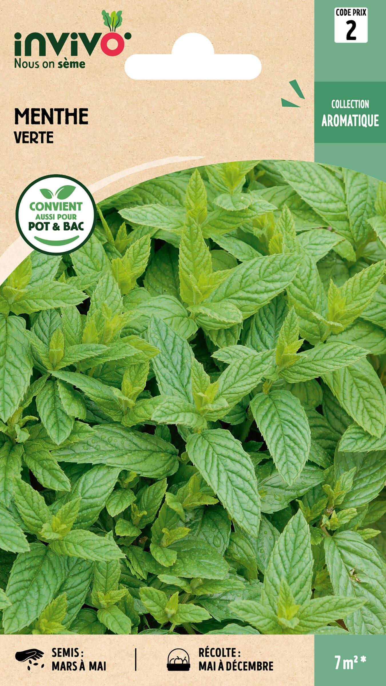 Invivo Nous On Sème - Menthe verte graines sachet  0,3 g - INVIVO Nous on sème - Image 1