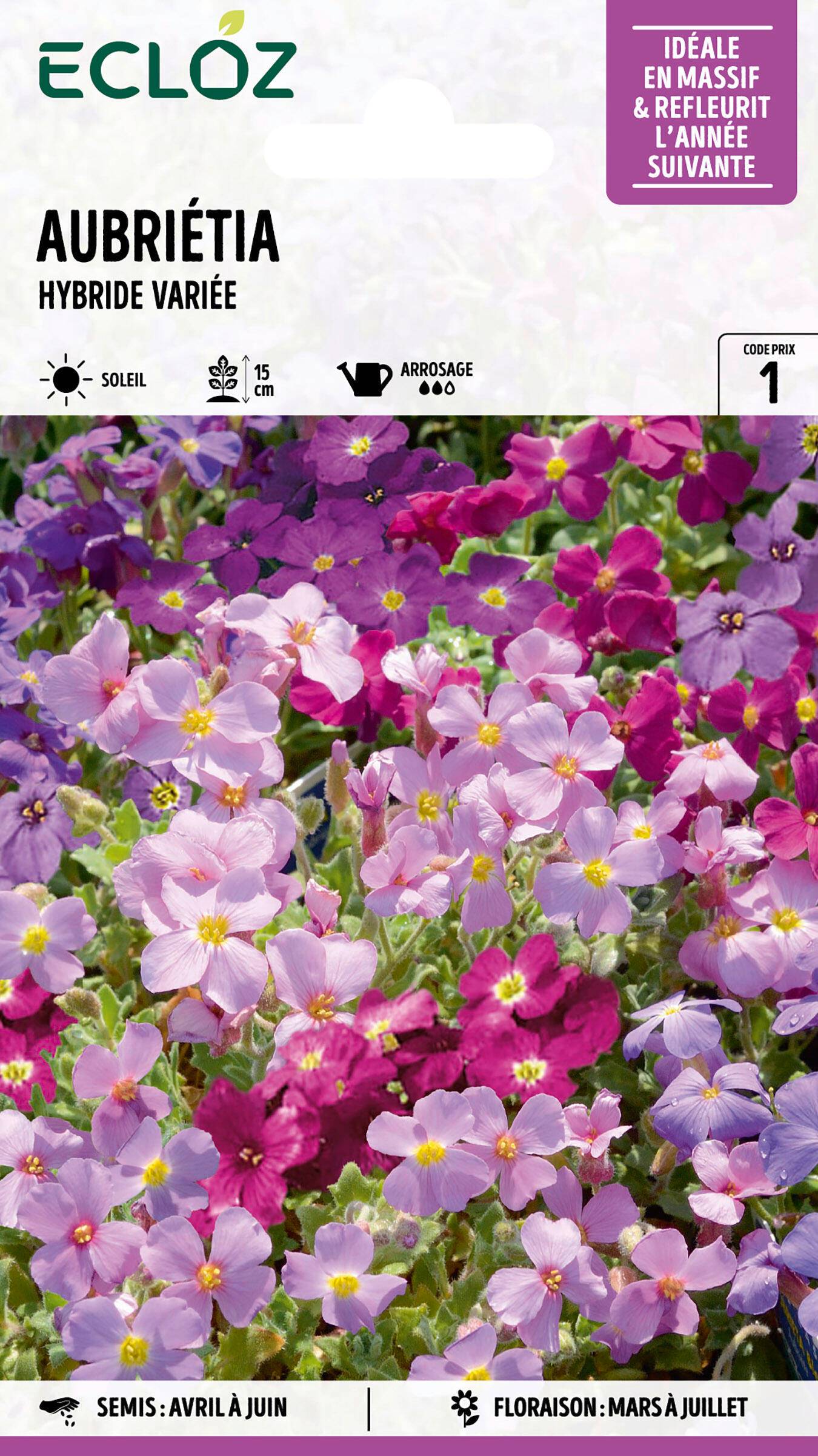 Ecloz - Aubriétia Hybride variée graines sachet 0,2 g - ECLOZ