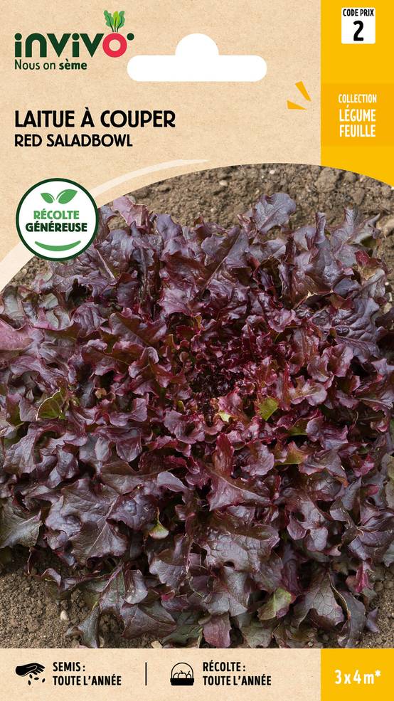 Invivo Nous On Sème - Laitue à Couper Red Saladbowl sachet de 4g - Série 2 - INVIVO Nous on sème - Image 1
