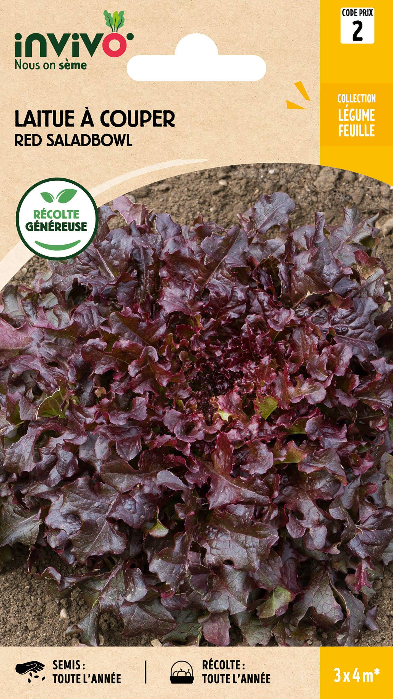 Invivo Nous On Sème - Laitue à Couper Red Saladbowl sachet de 4g - Série 2 - INVIVO Nous on sème