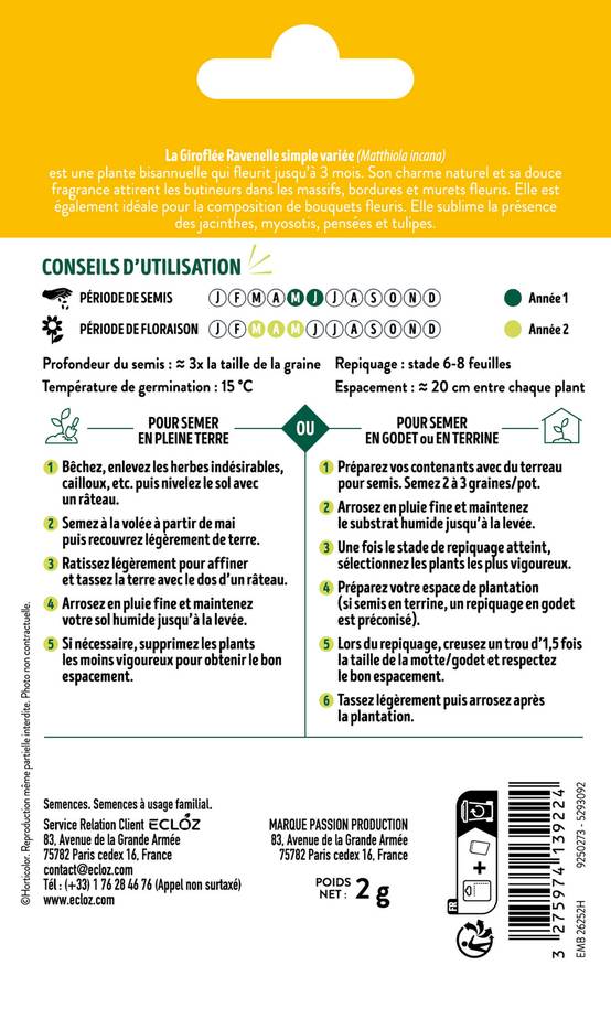 Ecloz - Giroflée Ravenelle simple variée graines sachet 2 g - ECLOZ - Image 2