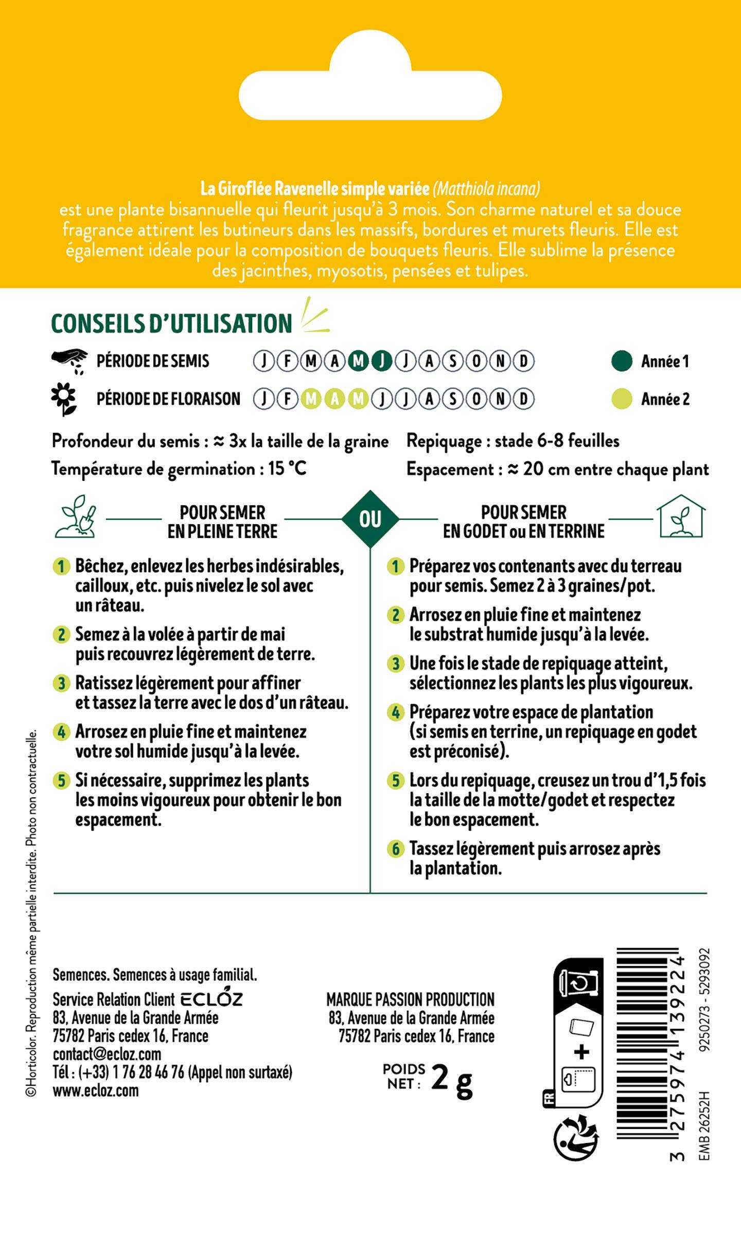 Ecloz - Giroflée Ravenelle simple variée  graines sachet 2 g - ECLOZ - Image 2