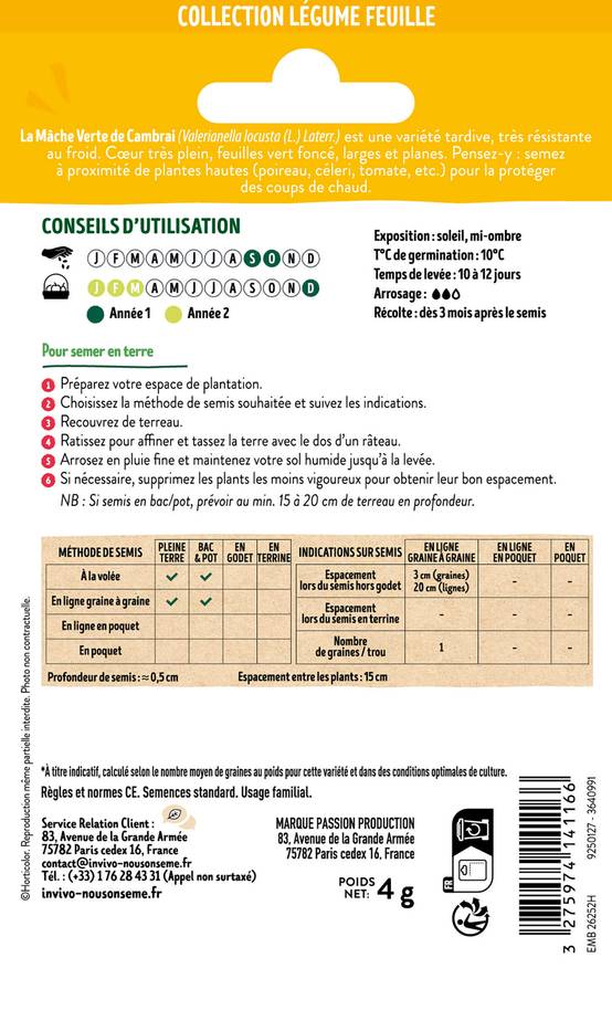 Invivo Nous On Sème - Mache Verte de Cambrai sachet de 4g - Série 1 - INVIVO Nous on sème - Image 2