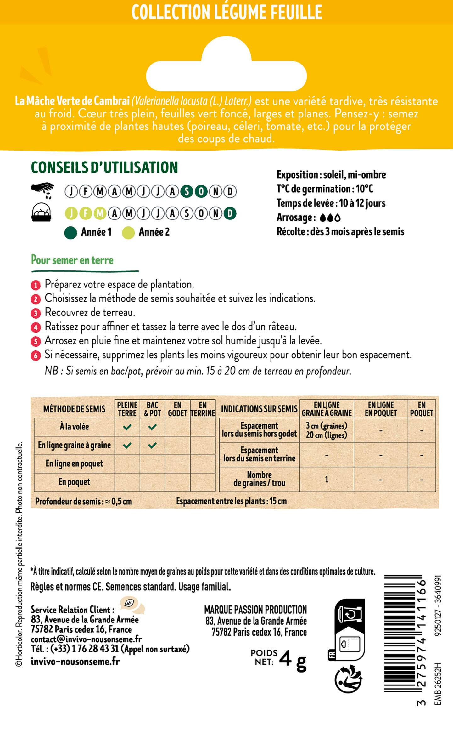 Invivo Nous On Sème - Mache Verte de Cambrai sachet de 4g - Série 1 - INVIVO Nous on sème - Image 2
