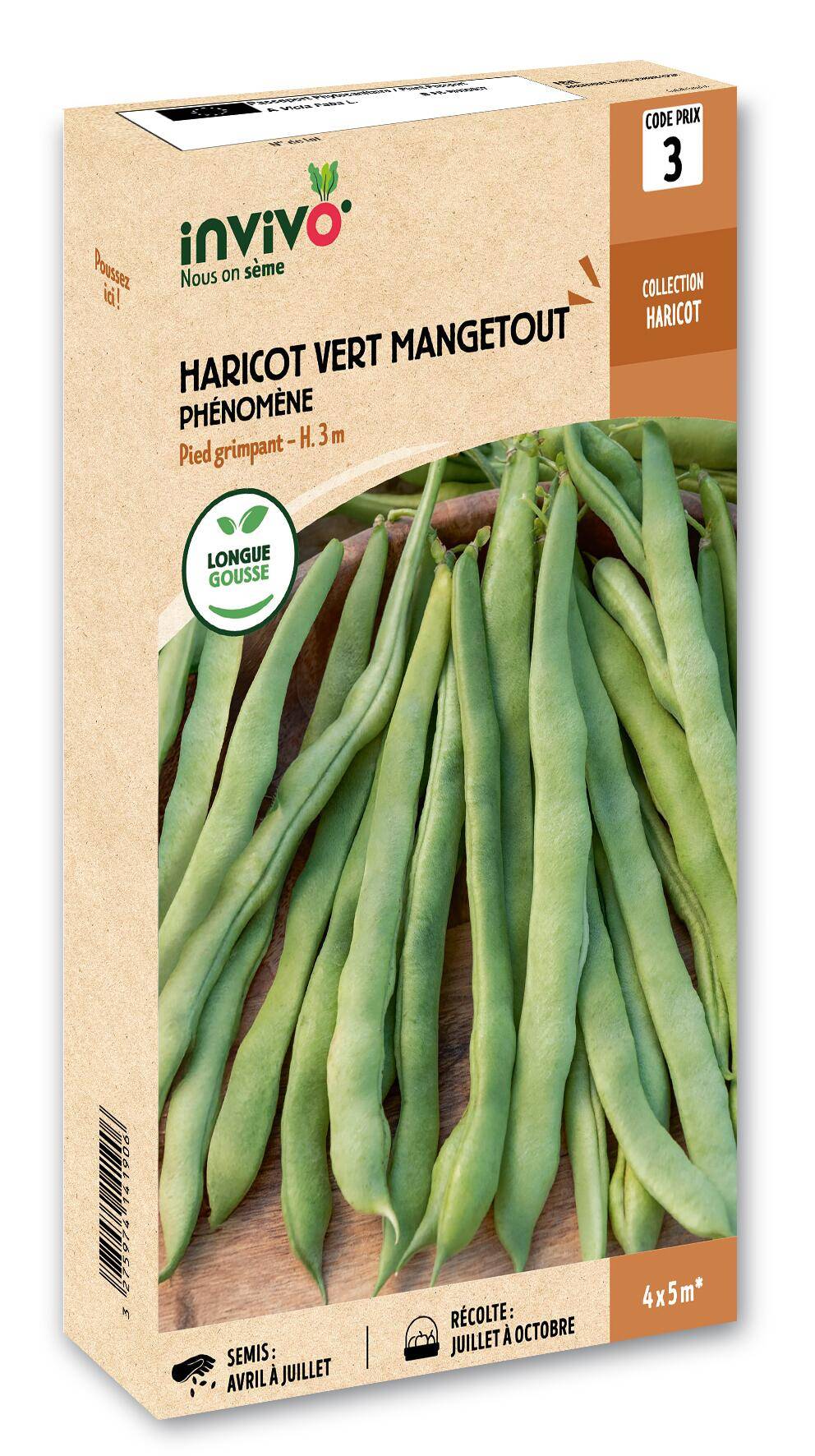 Invivo Nous On Sème - Haricot Grimpant Vert Mangetout Phénomène boîte de 200g - Série 3 - INVIVO Nous on sème - Image 1