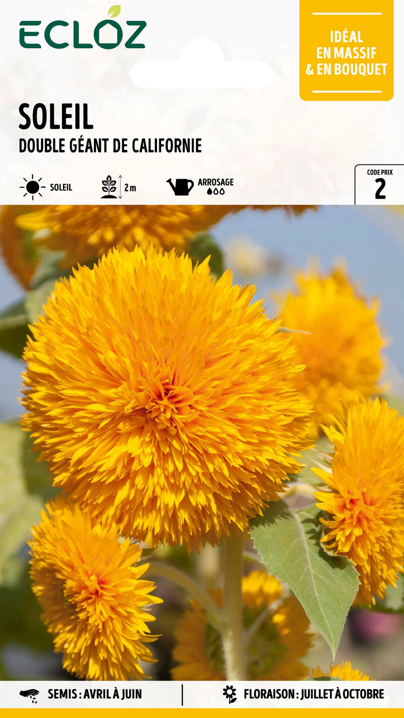 Ecloz - Soleil double géant de Californie graines sachet 3 g - ECLOZ - Image 1