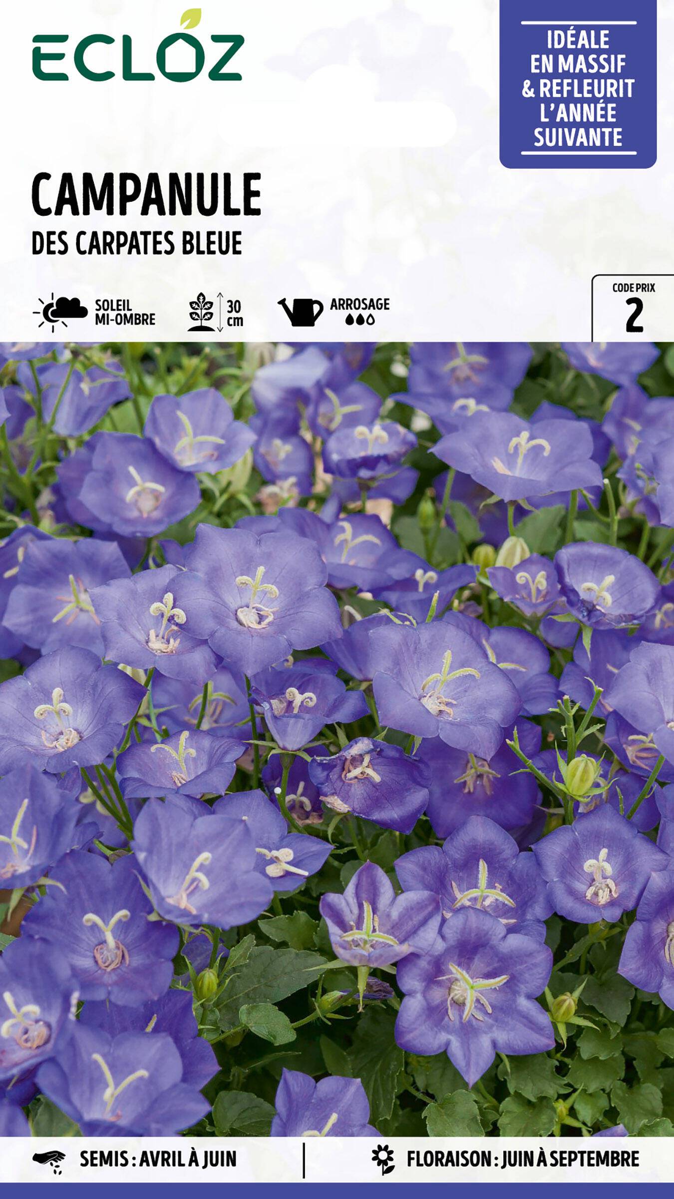 Ecloz - Campanule des Carpates bleue graines sachet 0,8 g - ECLOZ