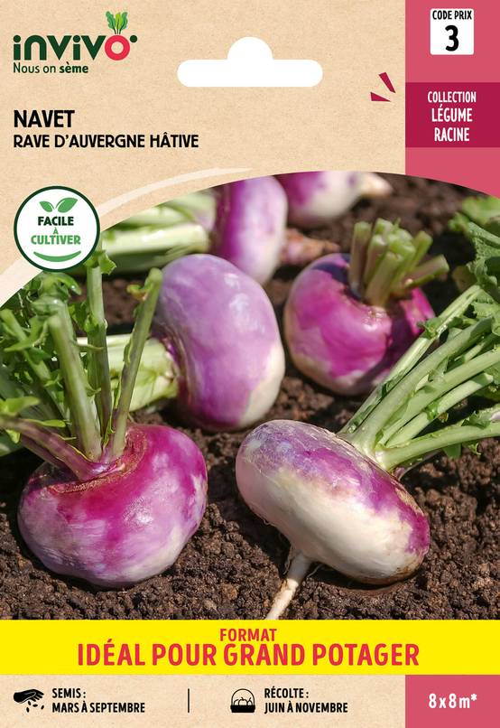 Invivo Nous On Sème - Navet-Légume Rave d'Auvergne Hâtive sachet de 13g grand modèle - Série 3 - INVIVO Nous on sème - Image 1